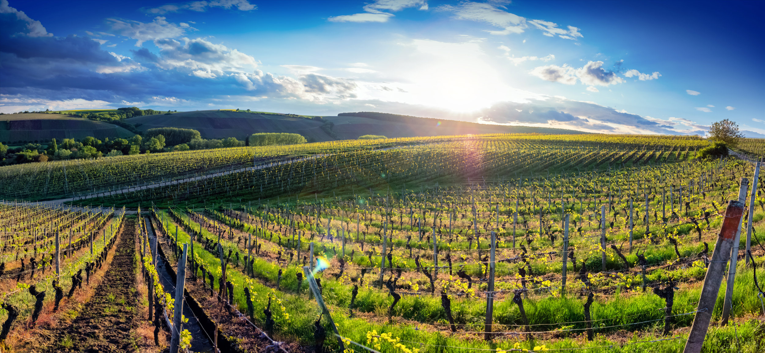 Frankish wine queen candidates, Bavarian agriculture, Cultural event, Farming magazine, 2500x1160 Dual Screen Desktop