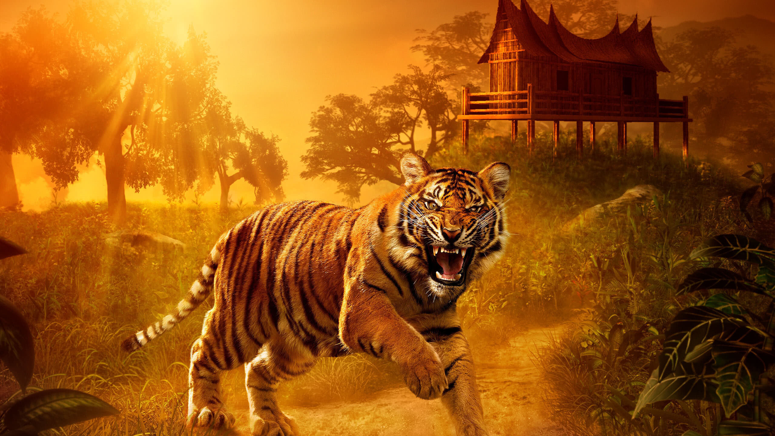 Angry tiger in 1440p, Intense power, Fierce animal, Striking wallpaper, 2560x1440 HD Desktop