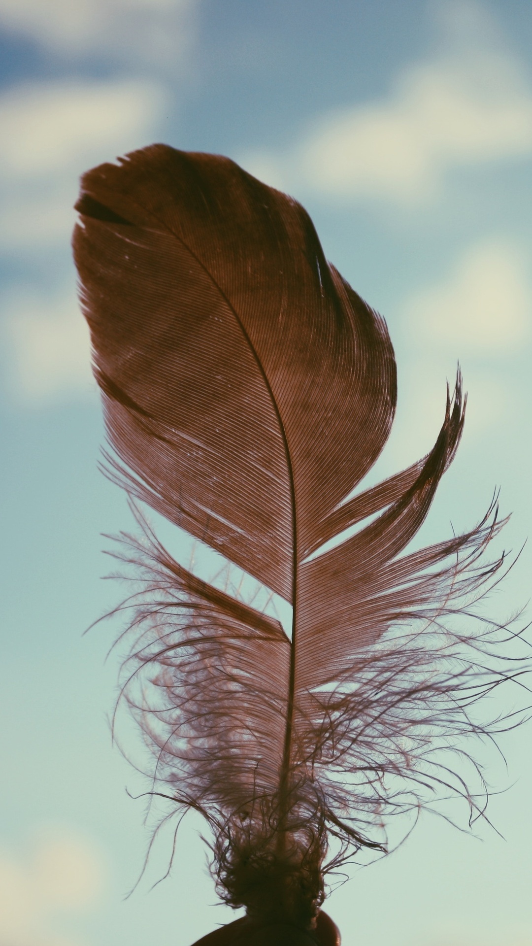 Feather in the sky, 4K resolution, iPhone and Android wallpaper, Serene imagery, 1080x1920 Full HD Phone