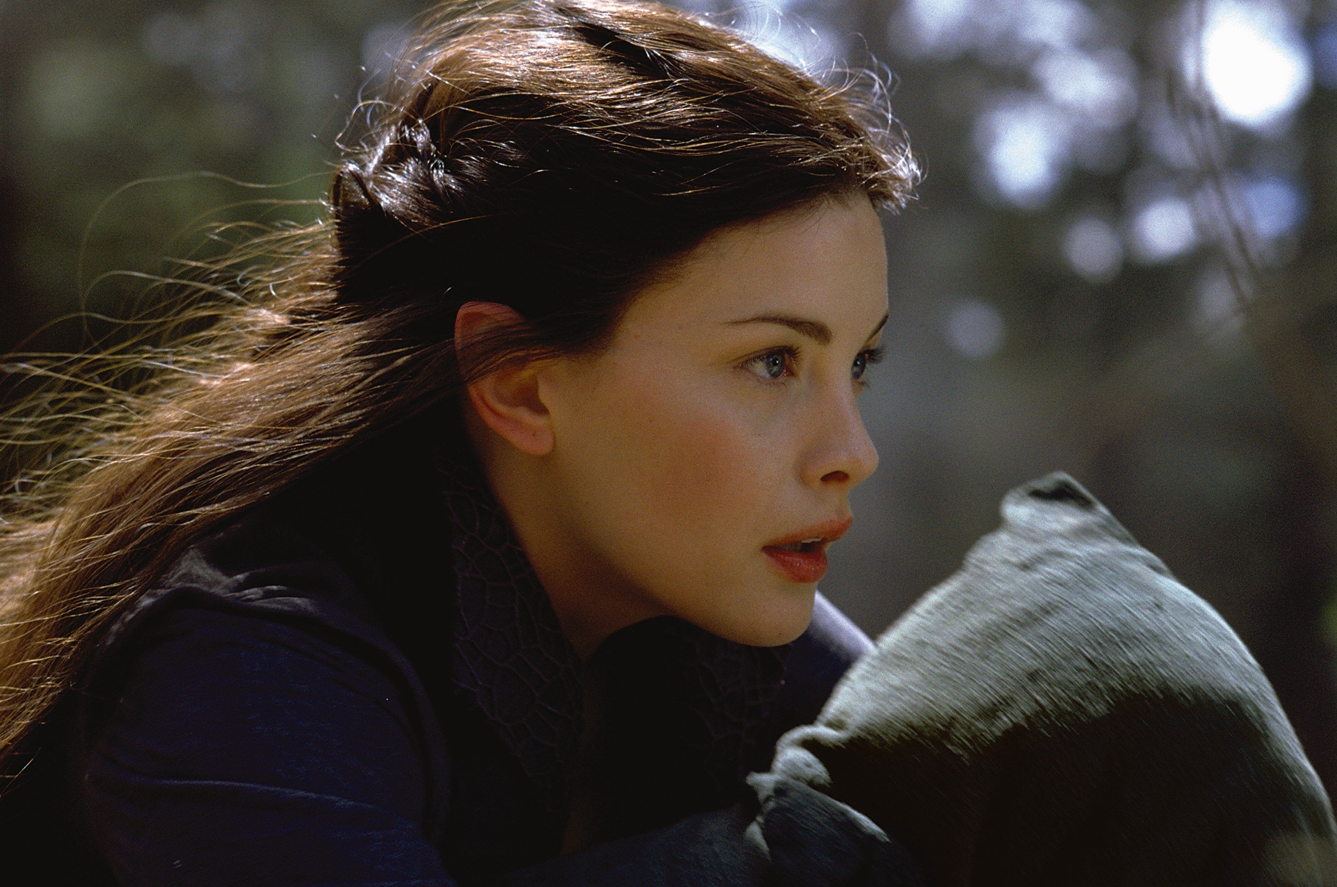 Arwen, Movies, Fellowship of the Ring, Wallpaper, 2750x1820 HD Desktop