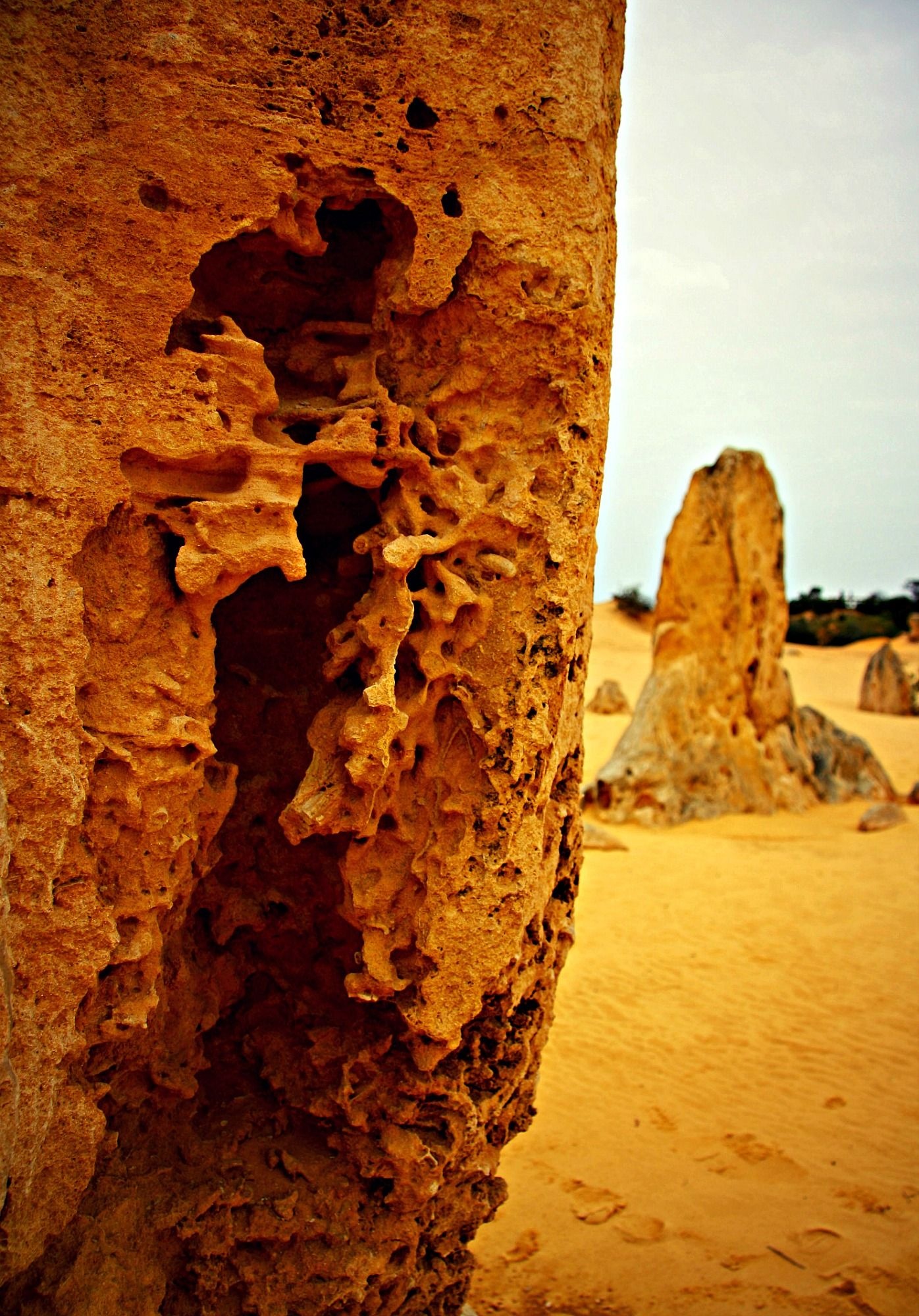 Nambung National Park, Pinnacles desert, Unique formations, Western Australia, 1400x2000 HD Phone