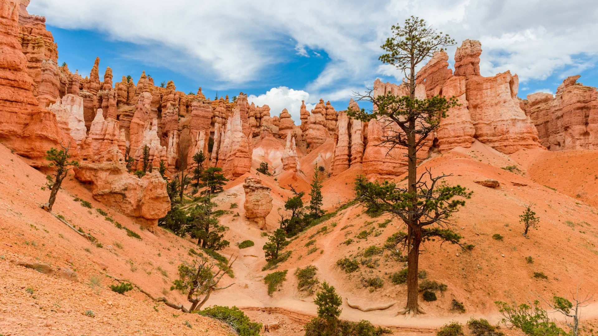 Bryce Canyon National Park, Hoodoos of Queens Stone, HD eyecandy, Beautiful desktop wallpaper, 1920x1080 Full HD Desktop