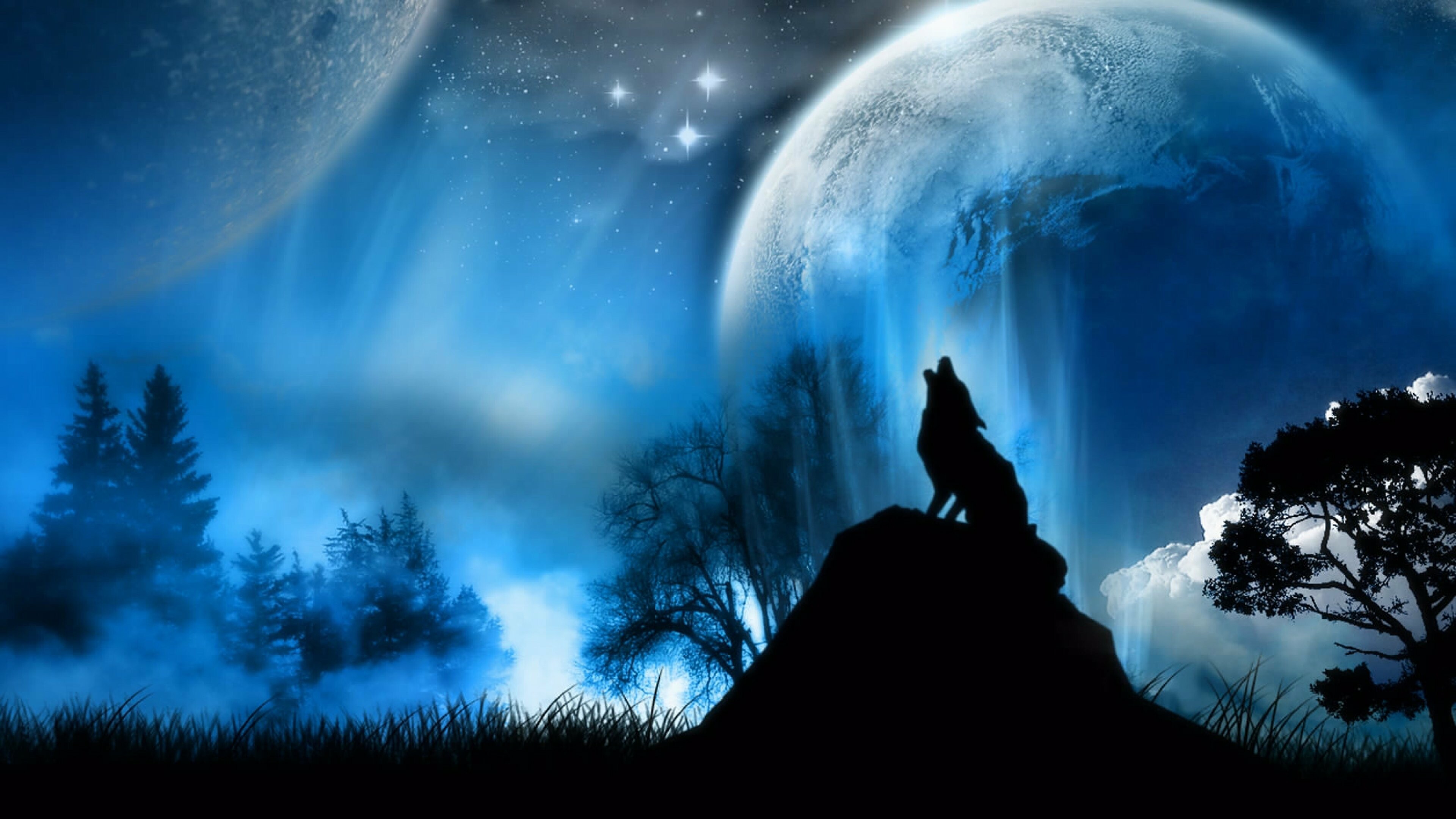 44 4K wolf wallpaper, Elevated perspective, Vast wilderness, Breathtaking sight, 3840x2160 4K Desktop