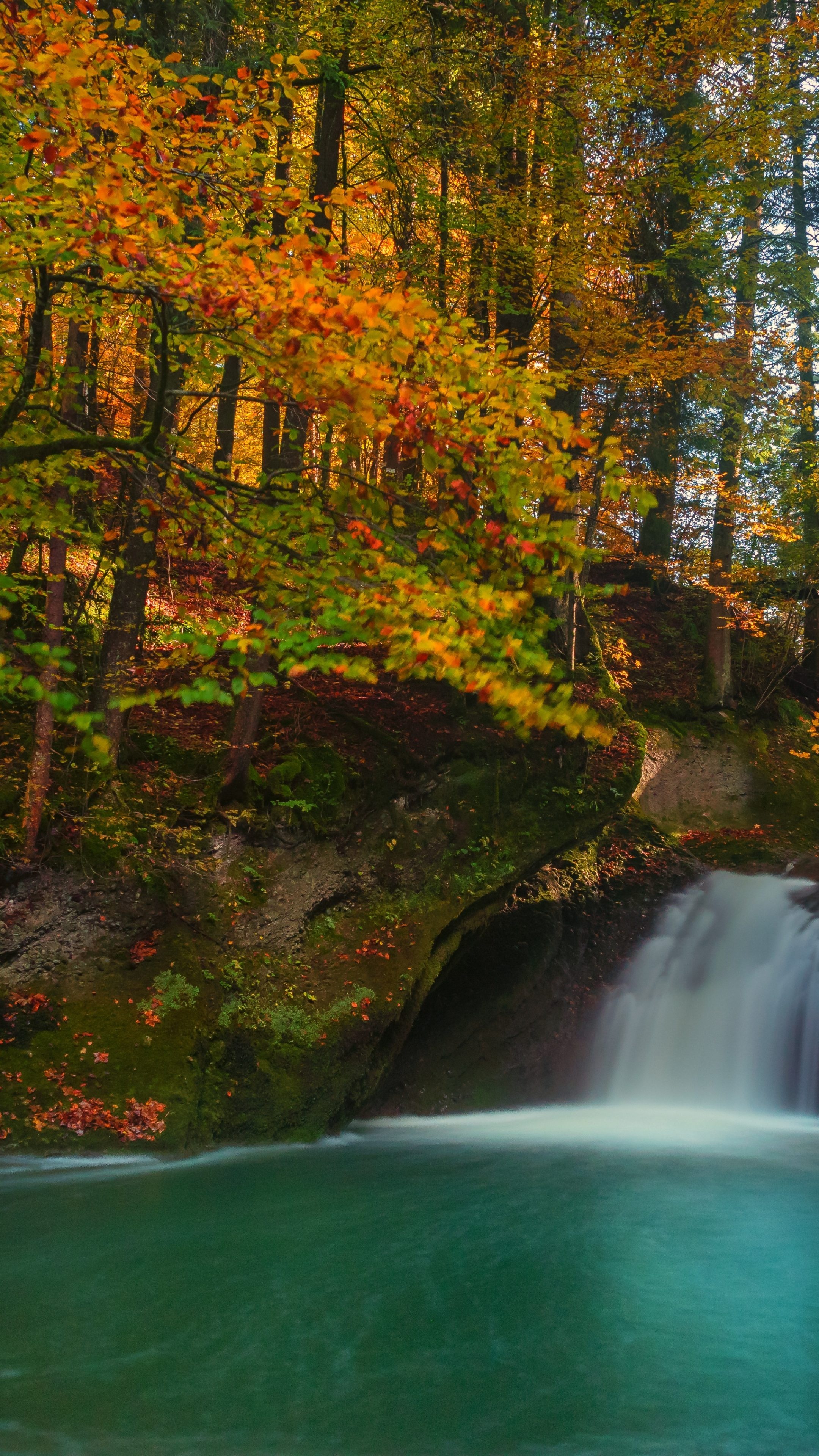 Autumn waterfall, Tranquil setting, Scenic beauty, Picture-perfect, 2160x3840 4K Phone