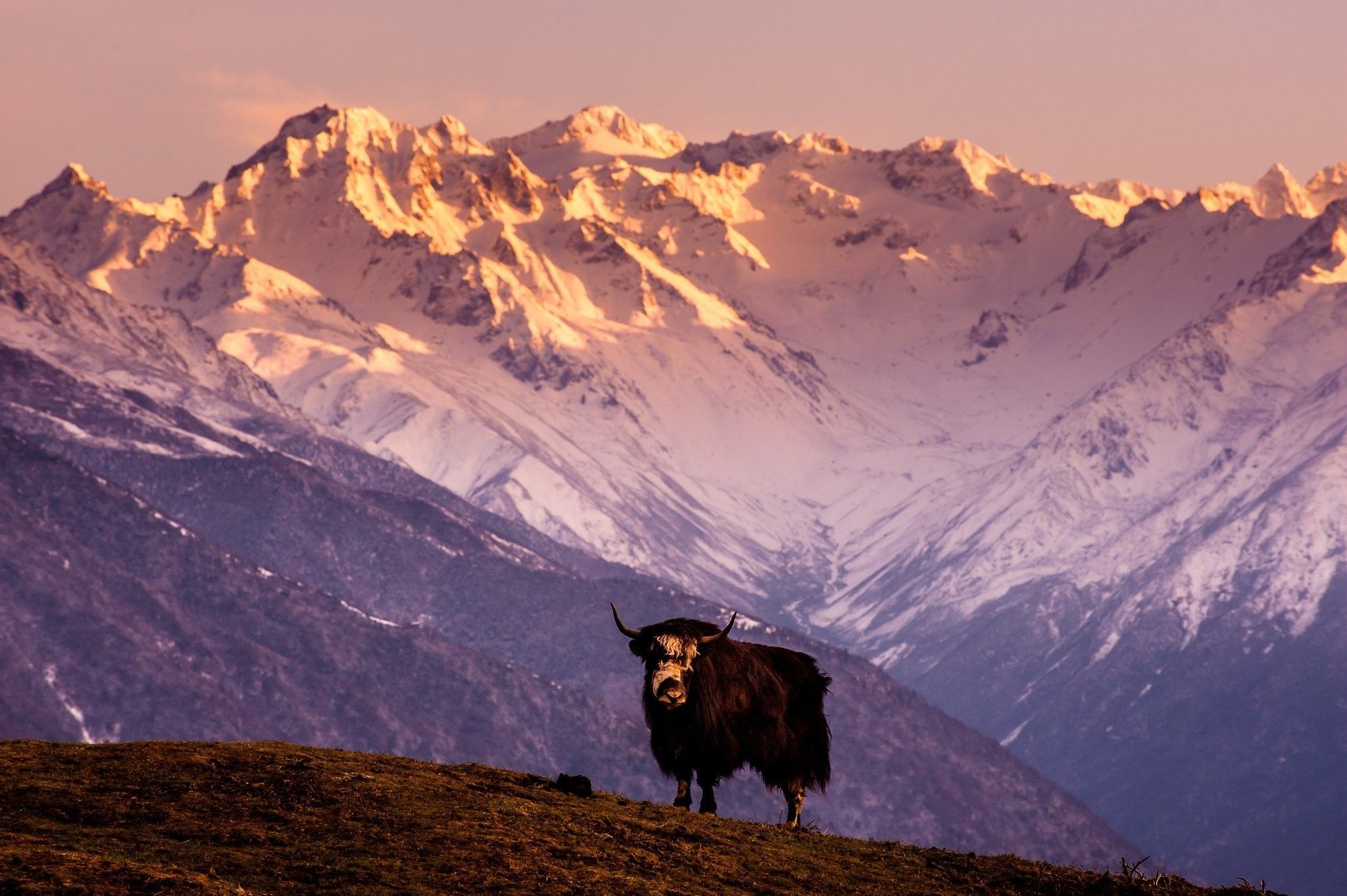 Tibetan Highlands, Landscape wallpapers, Free backgrounds, 2050x1370 HD Desktop