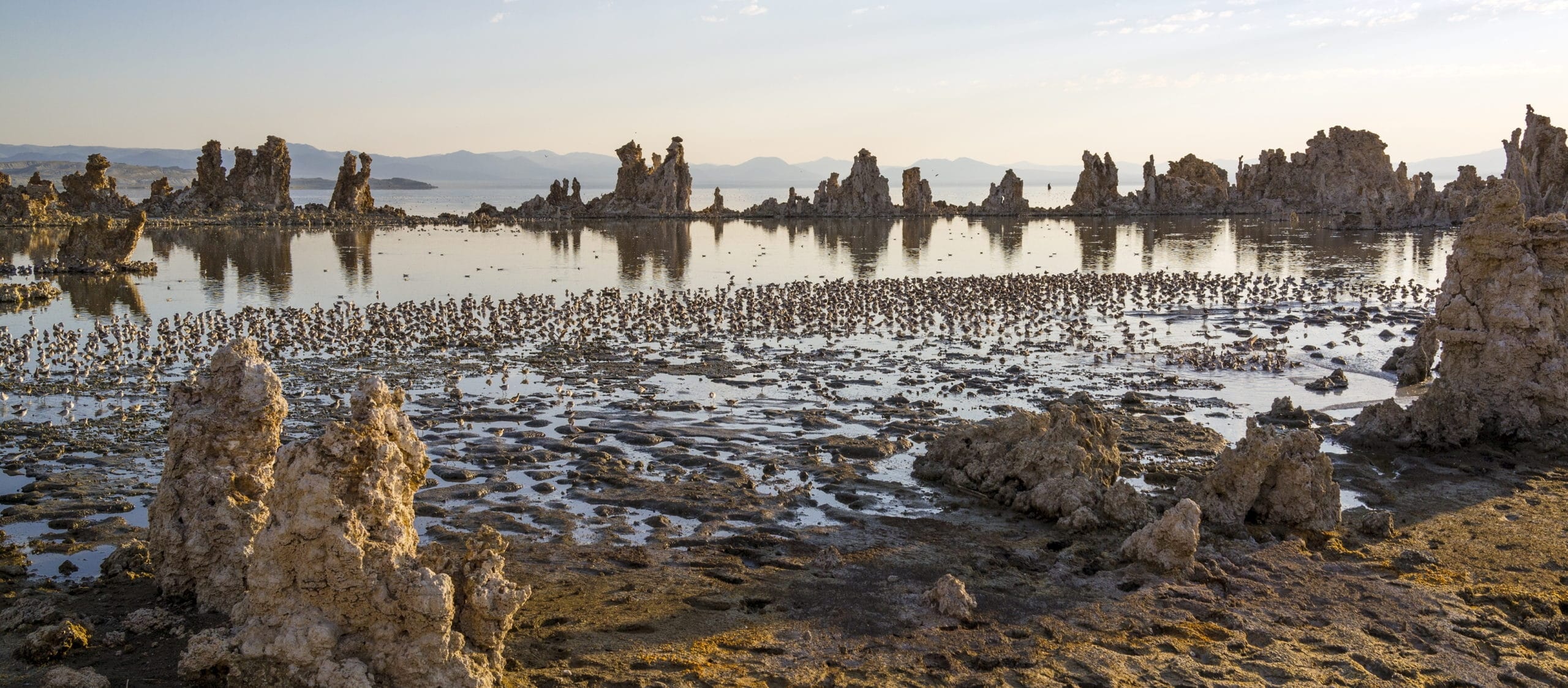 Mono Lake, South Tufa Tour, Travels, Mono Lake, 2560x1130 Dual Screen Desktop