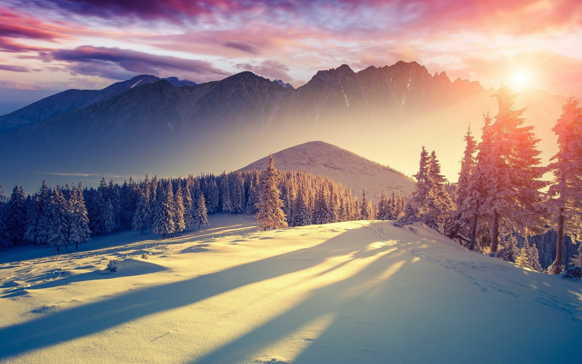 Winter Windows 10 wallpapers, Winter, 1920x1200 HD Desktop