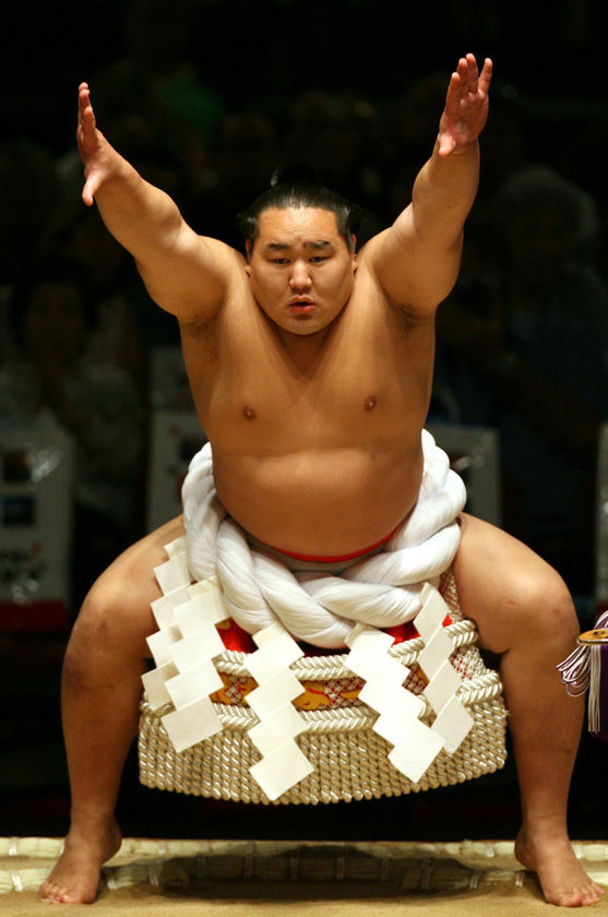 Asashoryu Akinori, Sumo Wallpaper, 2050x3090 HD Phone