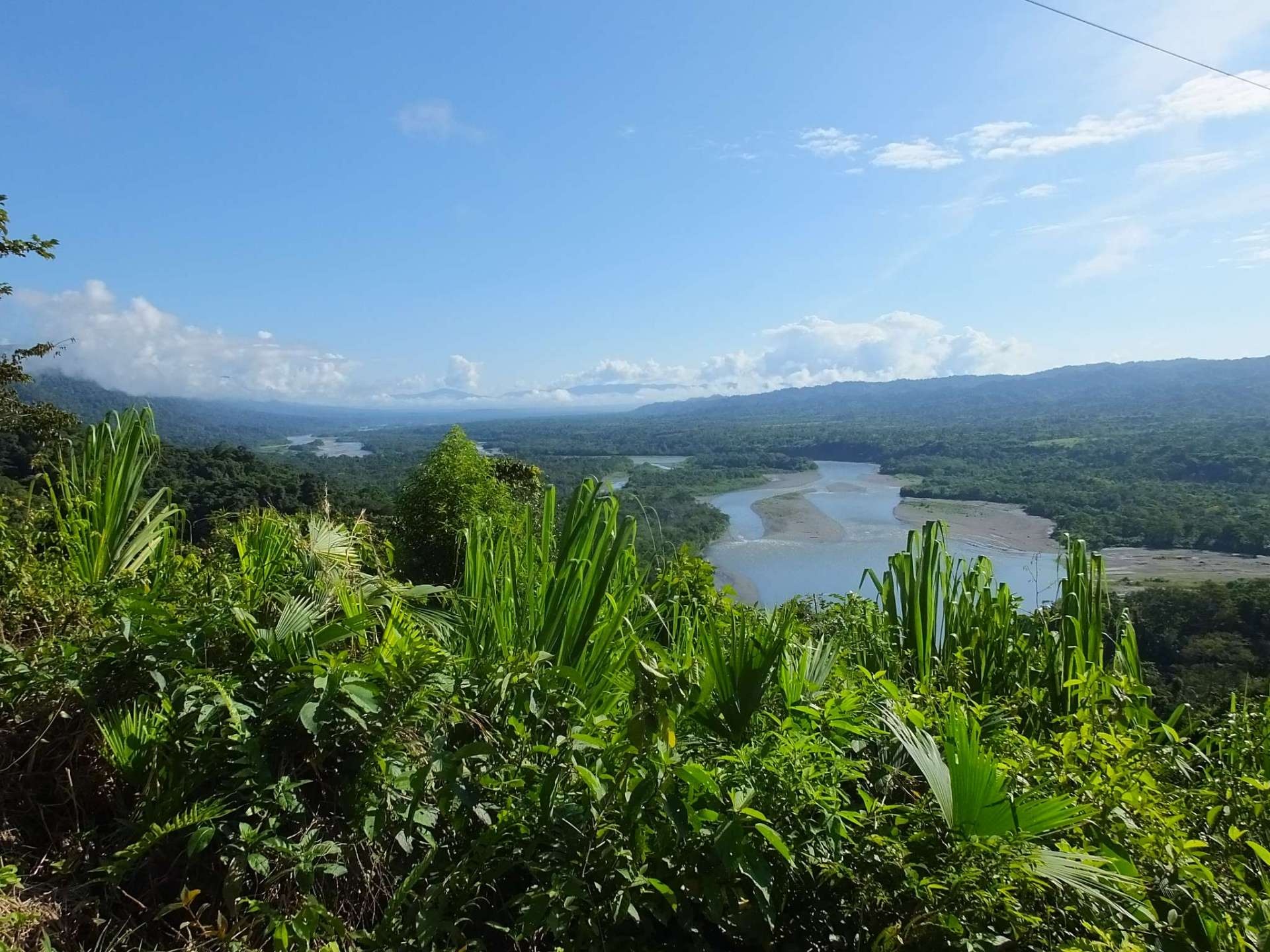 Manu National Park, Amazon excursion, Antipode Peru, Adventure tours, 1920x1440 HD Desktop