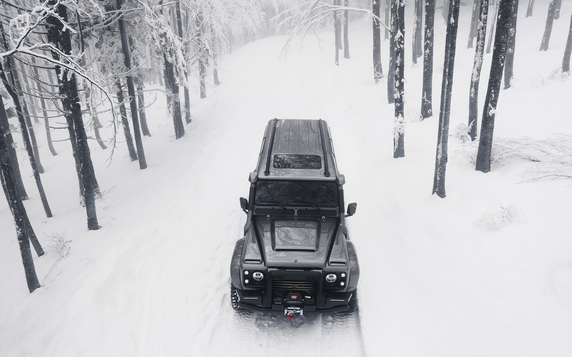 Winter Forest, Land Rover Defender Wallpaper, 1920x1200 HD Desktop