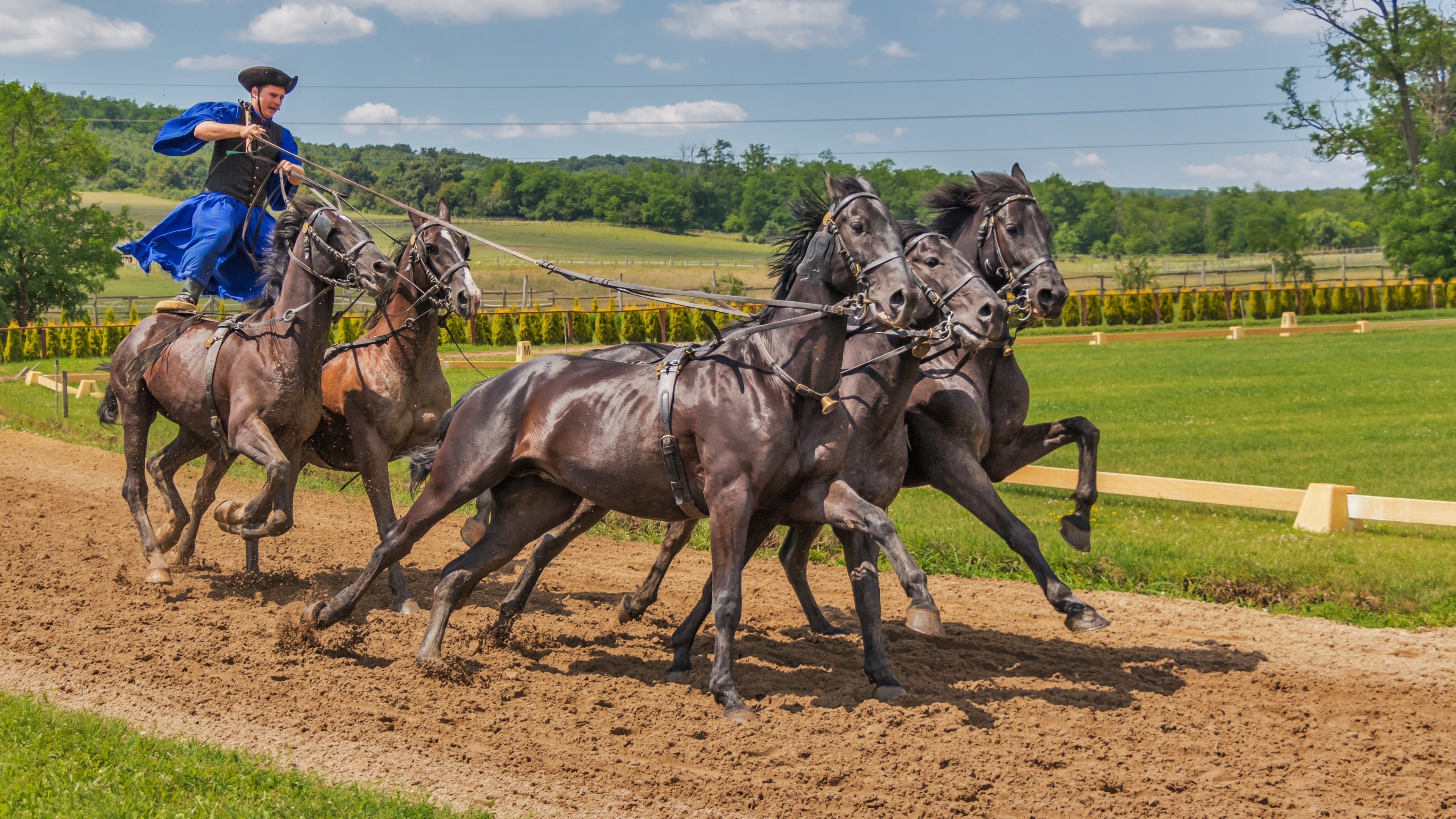 Hungarian horse riding, Eventing Wallpaper, 3840x2160 4K Desktop