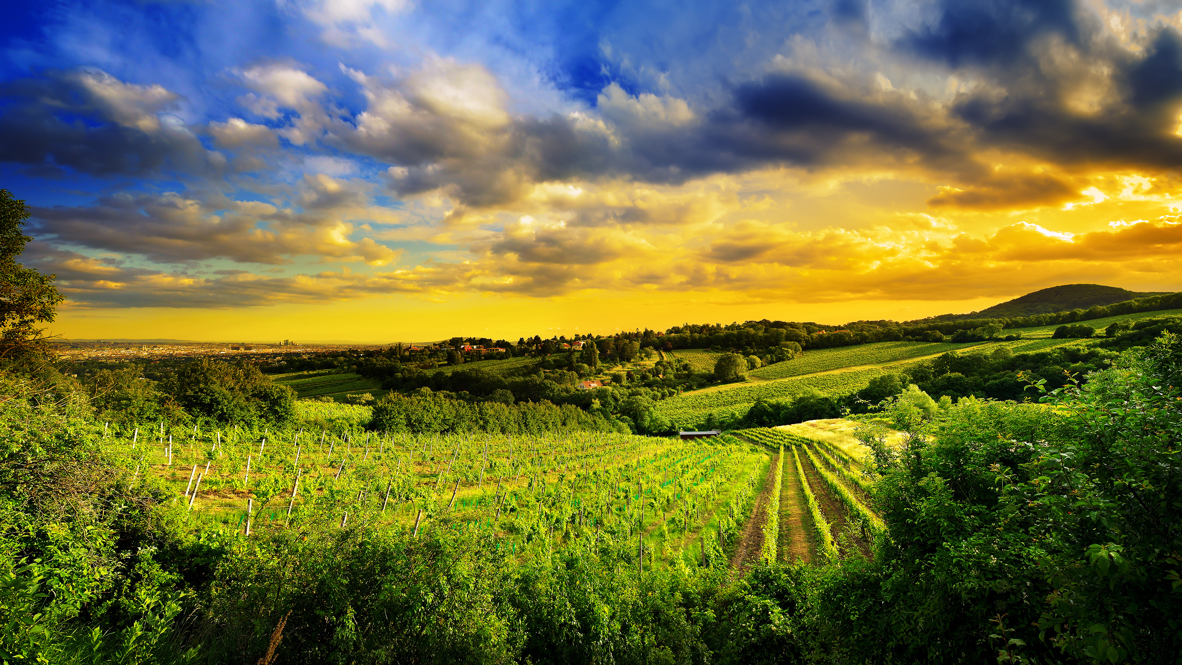 Hills of Vienna, Austrian capital, Stunning 4K wallpaper, Beautiful panorama, 3840x2160 4K Desktop