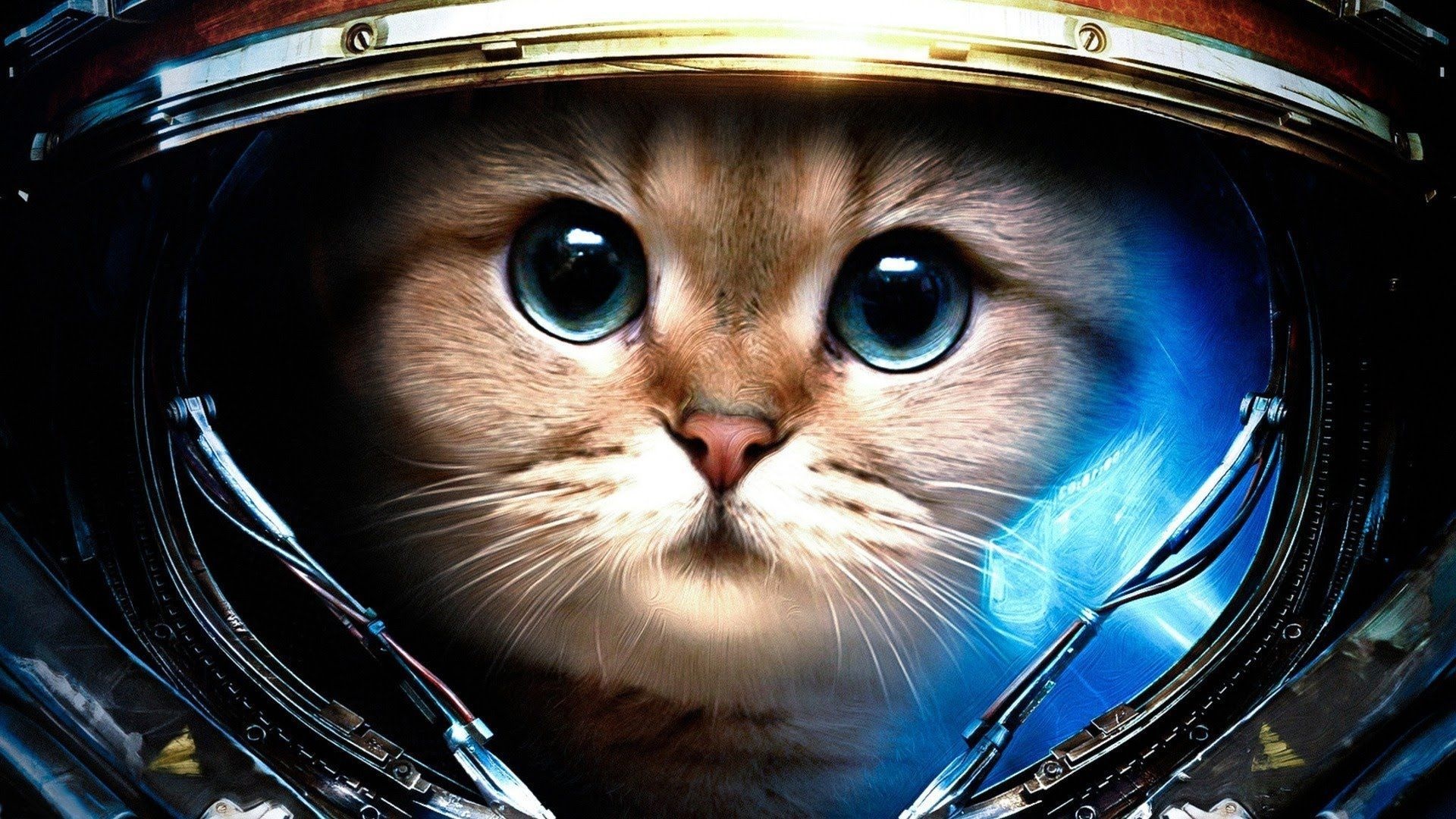 Astronaut, Galaxy Cat Wallpaper, 1920x1080 Full HD Desktop