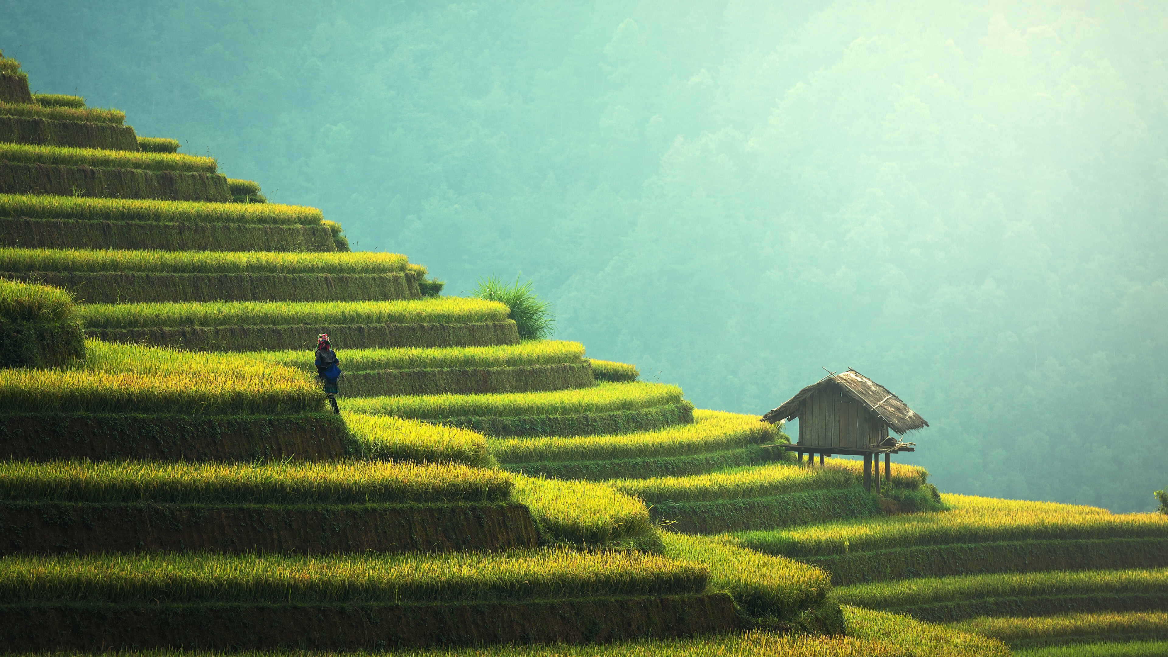 Rice terraces, Chinese landscapes, Nature's masterpiece, Tranquil beauty, 3840x2160 4K Desktop