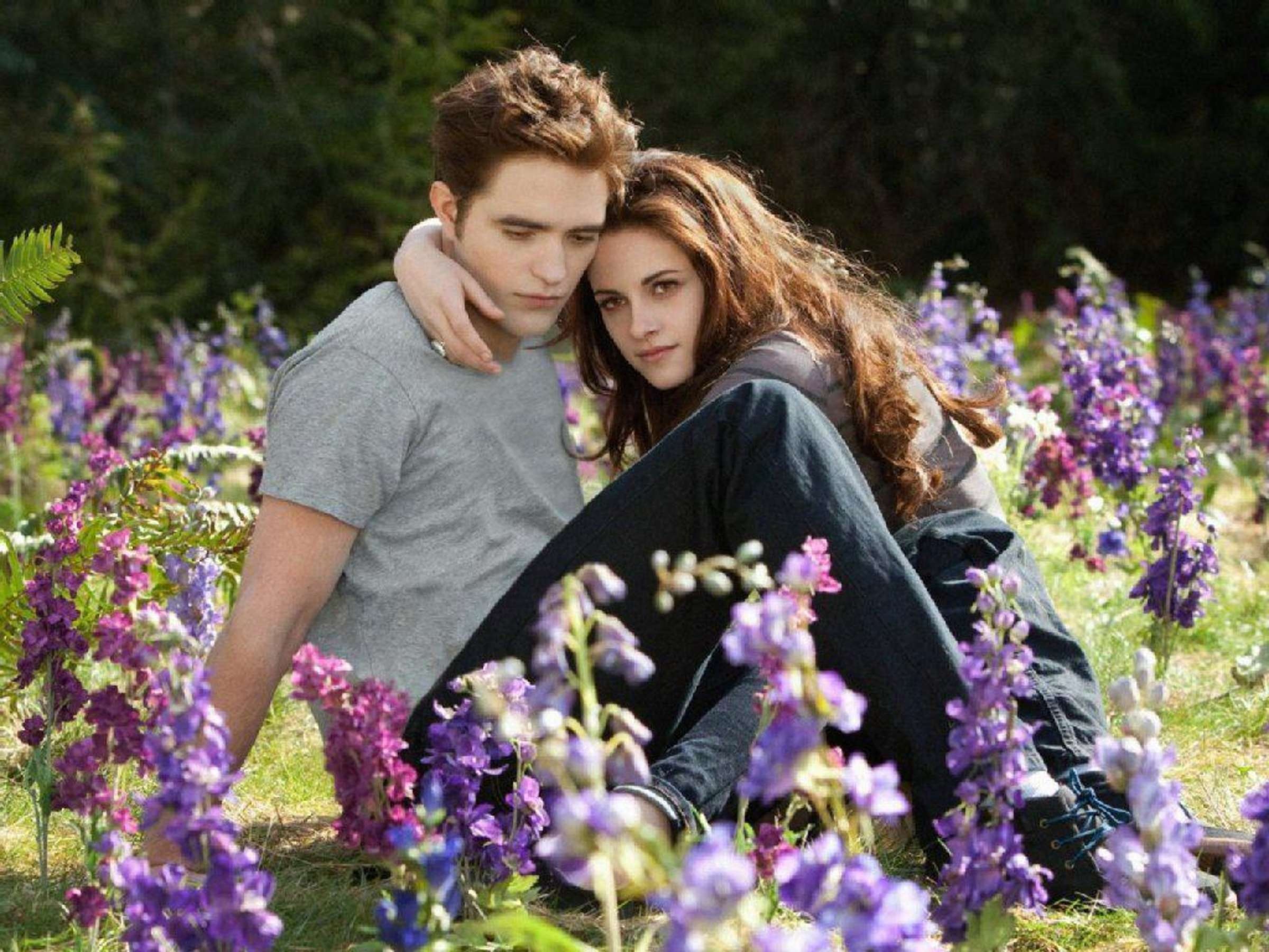 Twilight saga, reconciling ending, resolution, image, 2400x1800 HD Desktop