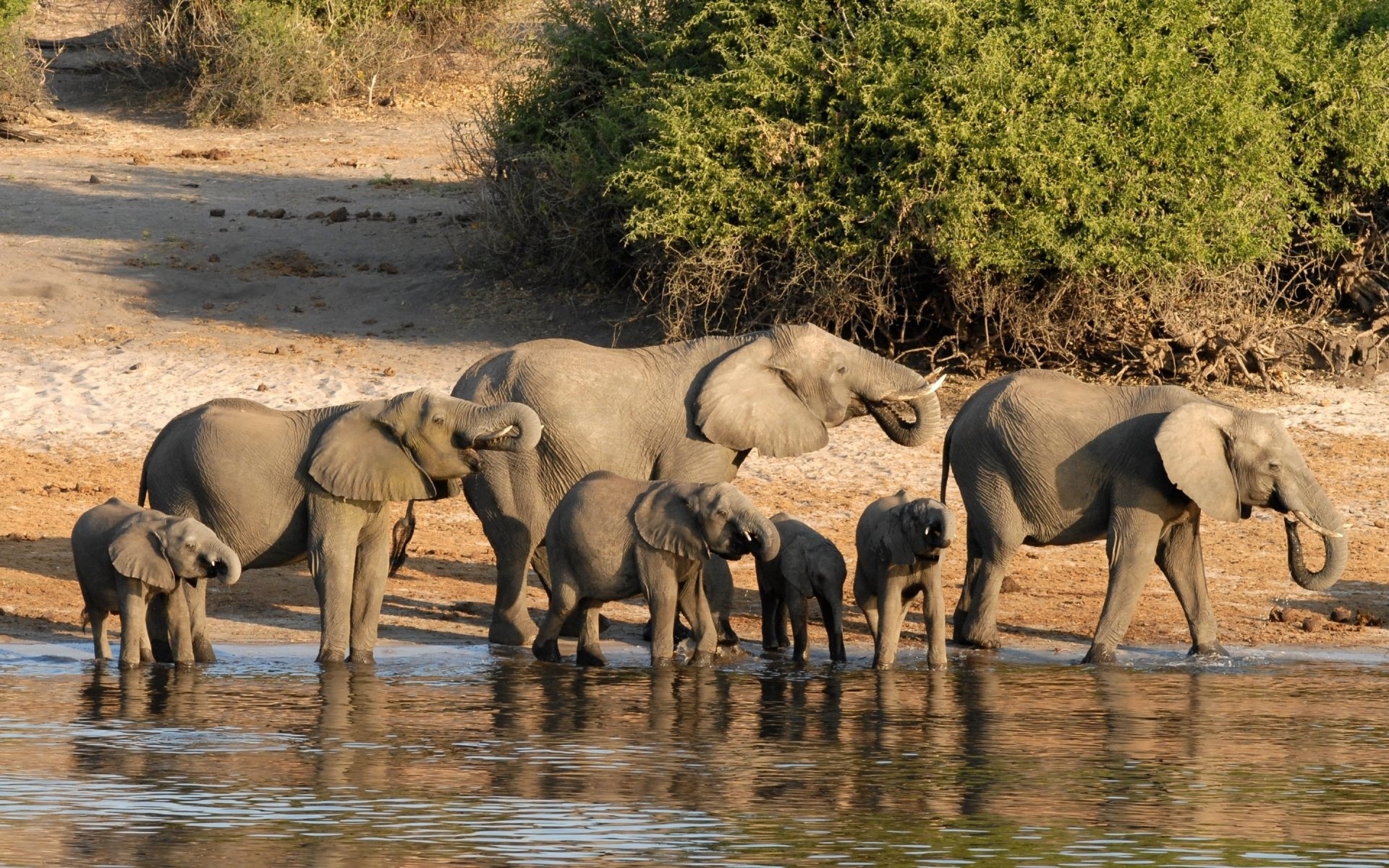 Botswana HD wallpapers, Visual splendor, Nature's charm, Exquisite scenery, 1920x1200 HD Desktop