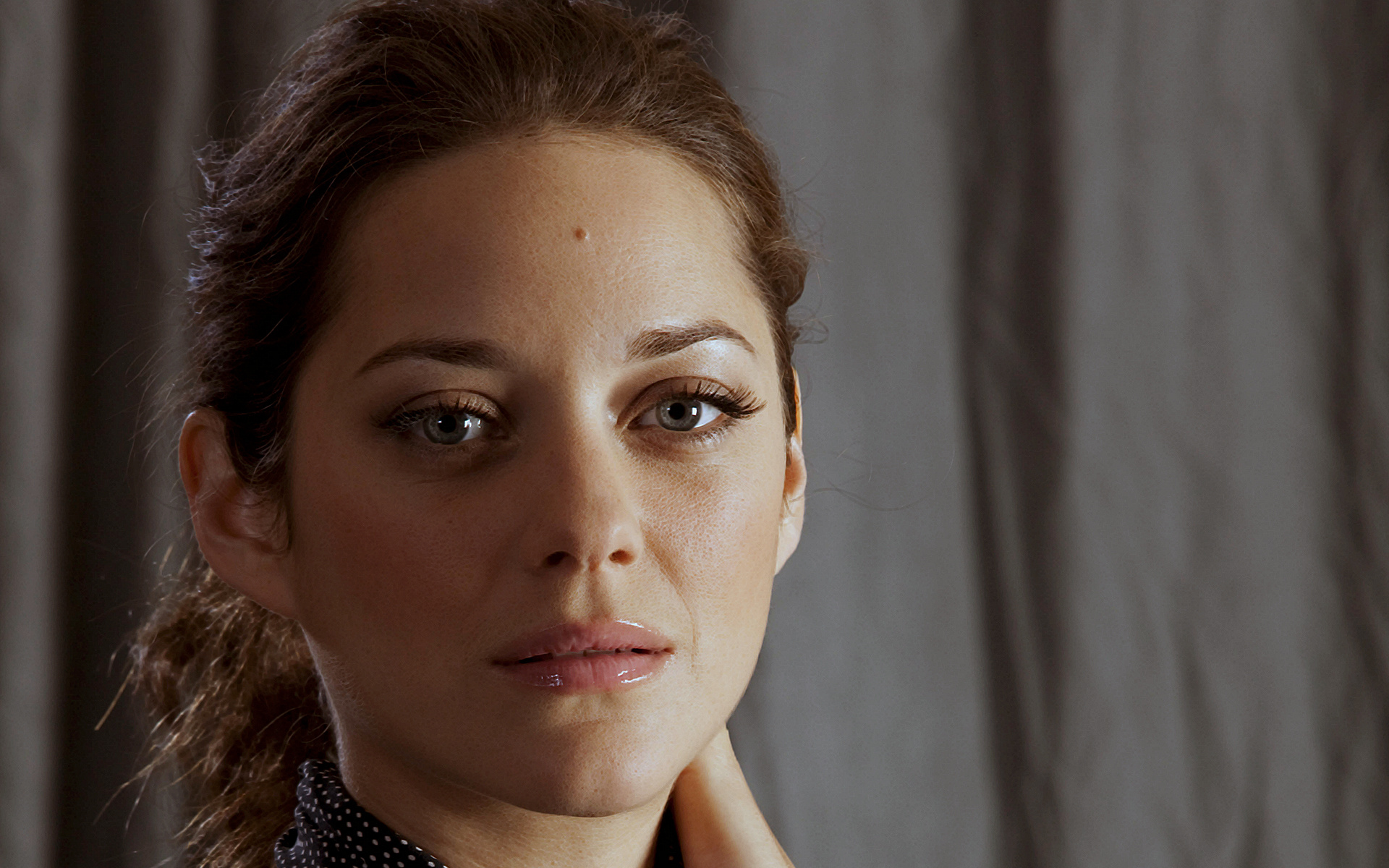 Marion Cotillard Movies, Wallpaper 50258, HD quality, Hollywood actress, 1920x1200 HD Desktop