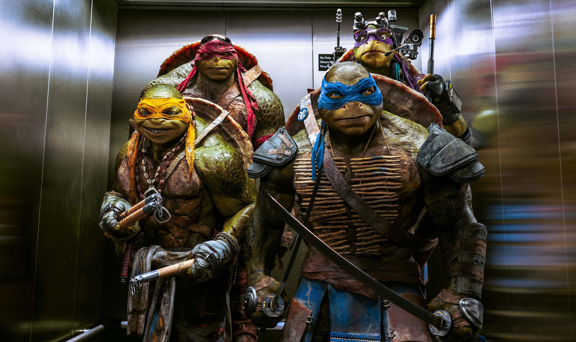 Teenage Mutant Ninja Turtles: Out of the Shadows, 2016, HD movies, 2000x1190 HD Desktop