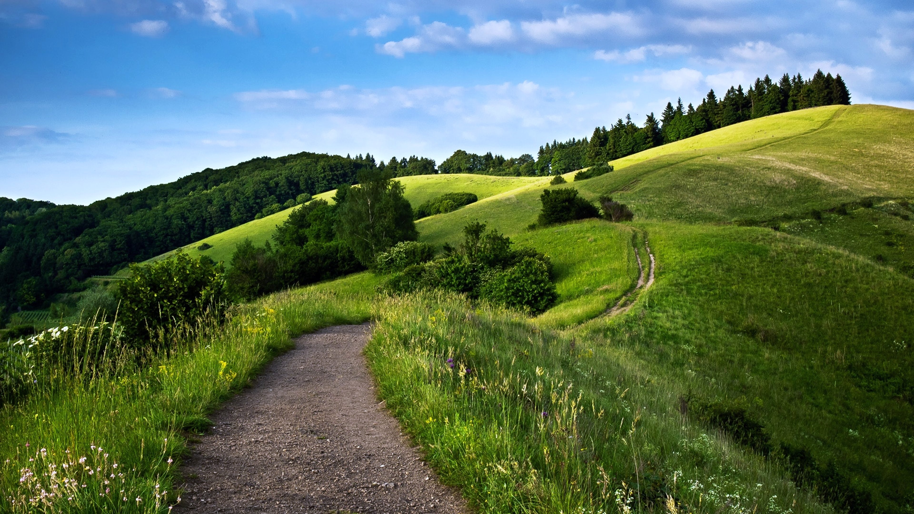 Forested wonderland, Green hills backdrop, Picture-perfect scenery, Nature's capture, 3840x2160 4K Desktop