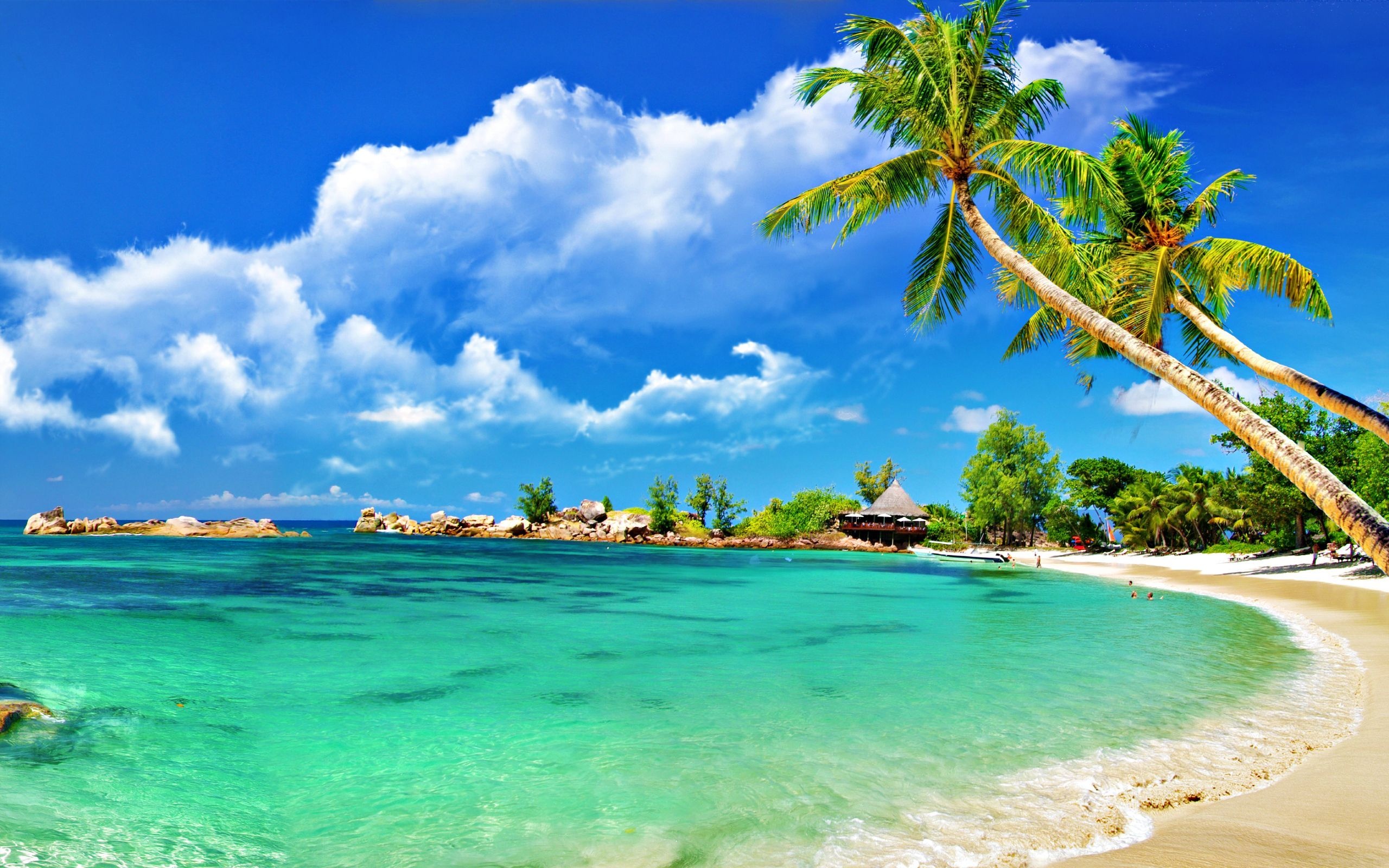 Caribbean Islands, Cuba beach view, Beach backgrounds, Caribbean vacation, 2560x1600 HD Desktop