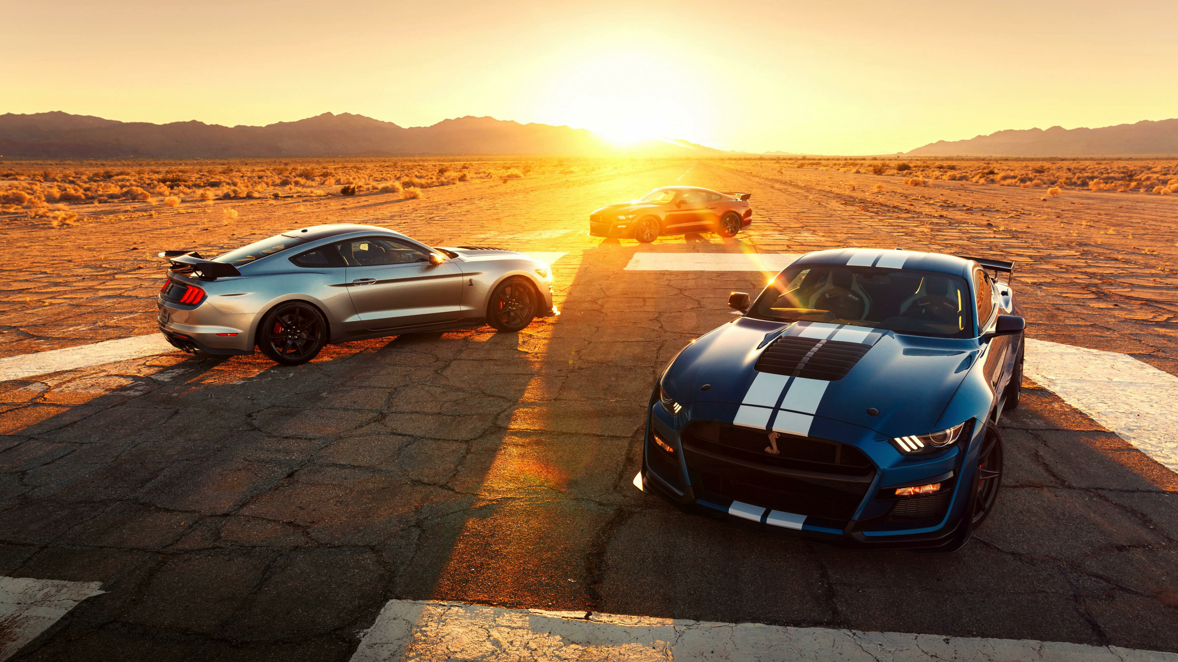 Ford Mustang Shelby GT500, UHD 4K, Classic muscle car, Powerful performance, 3840x2160 4K Desktop