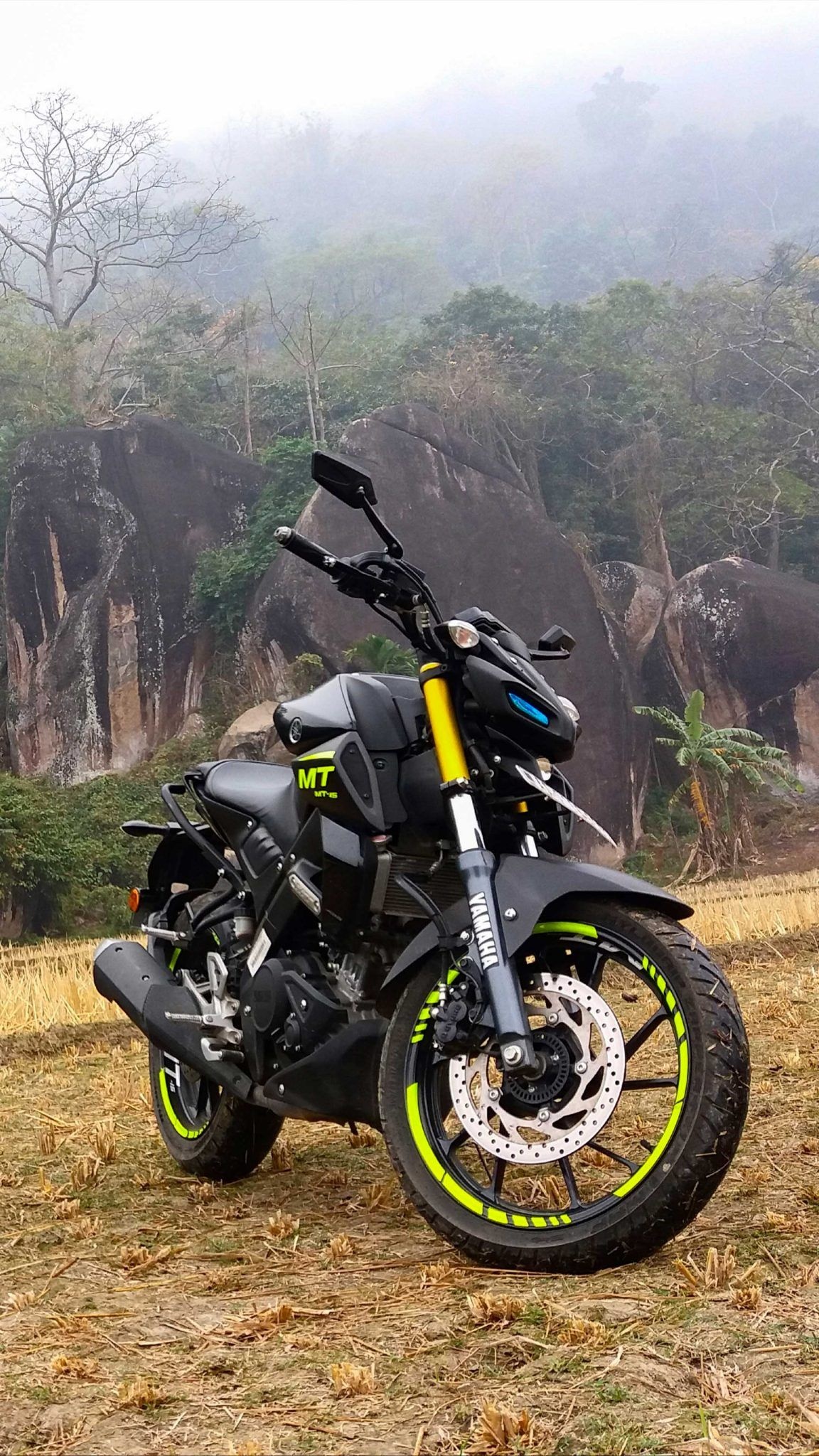 Winter Fog, Yamaha MT-15 Wallpaper, 1160x2050 HD Phone