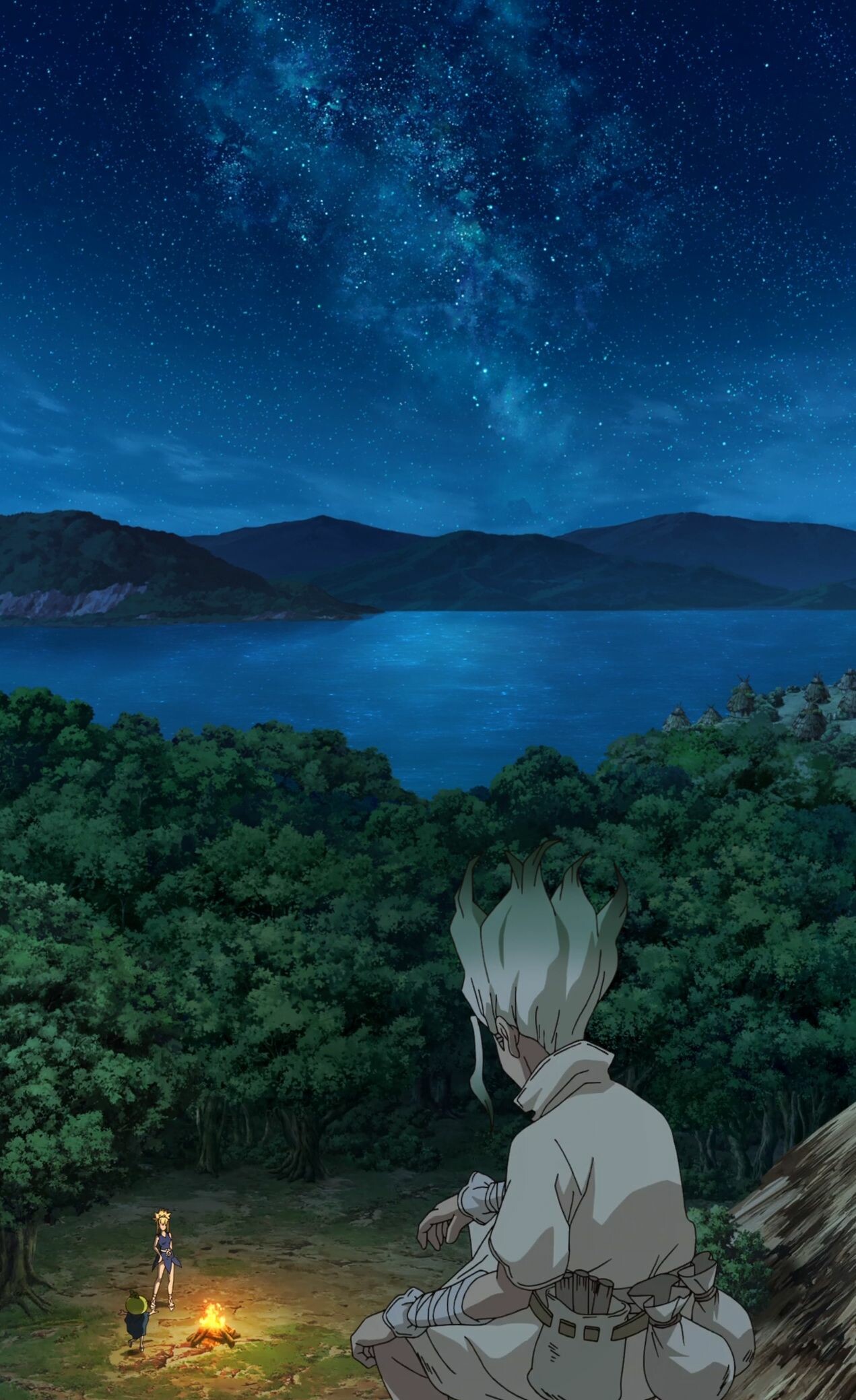 Dr. Stone anime, Pin on anime, 1280x2080 HD Phone