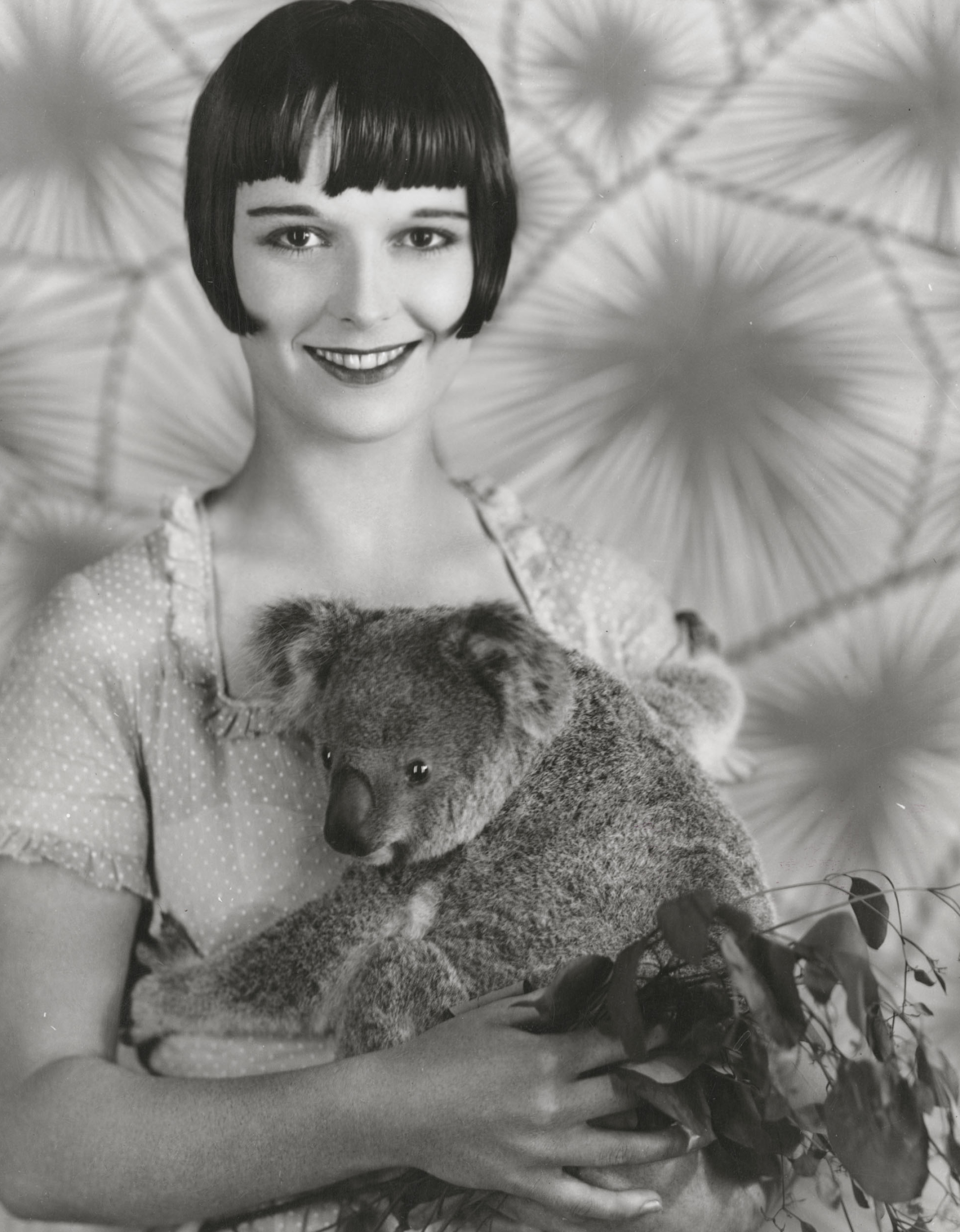 Louise Brooks, Archie the Koala, Expert in Louise Brooks, 2160x2780 HD Phone