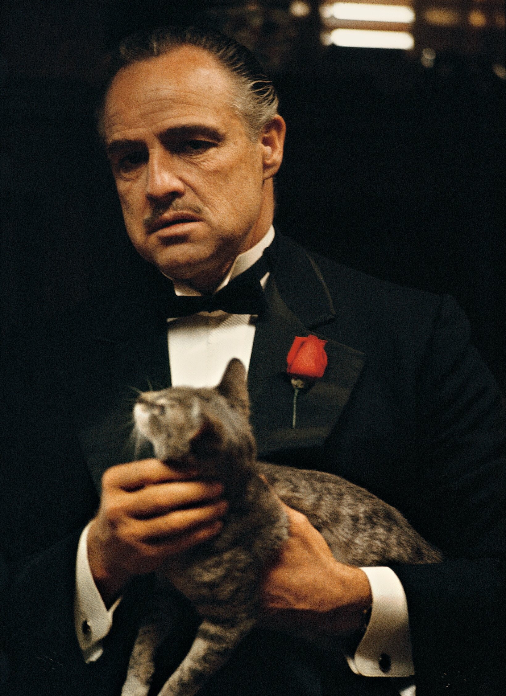 The Godfather wallpapers, Movie HQ, 4K wallpapers 2019, Iconic moments, 1640x2260 HD Phone