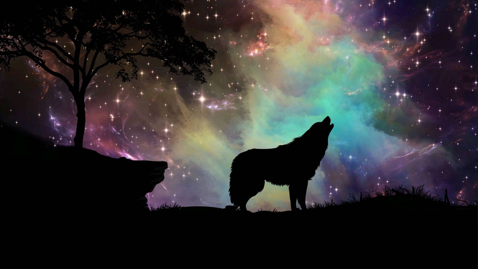 Howling Wolf, HD wallpaper, Ethan Johnson, nature, 1920x1080 Full HD Desktop