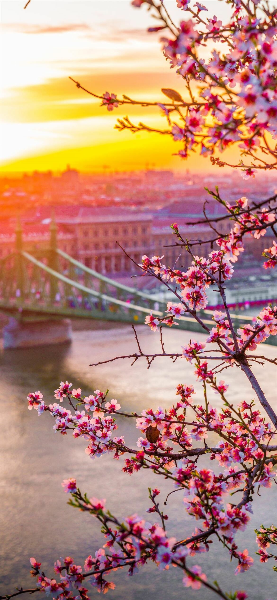 Budapest, Spring Wallpaper, 1170x2540 HD Phone