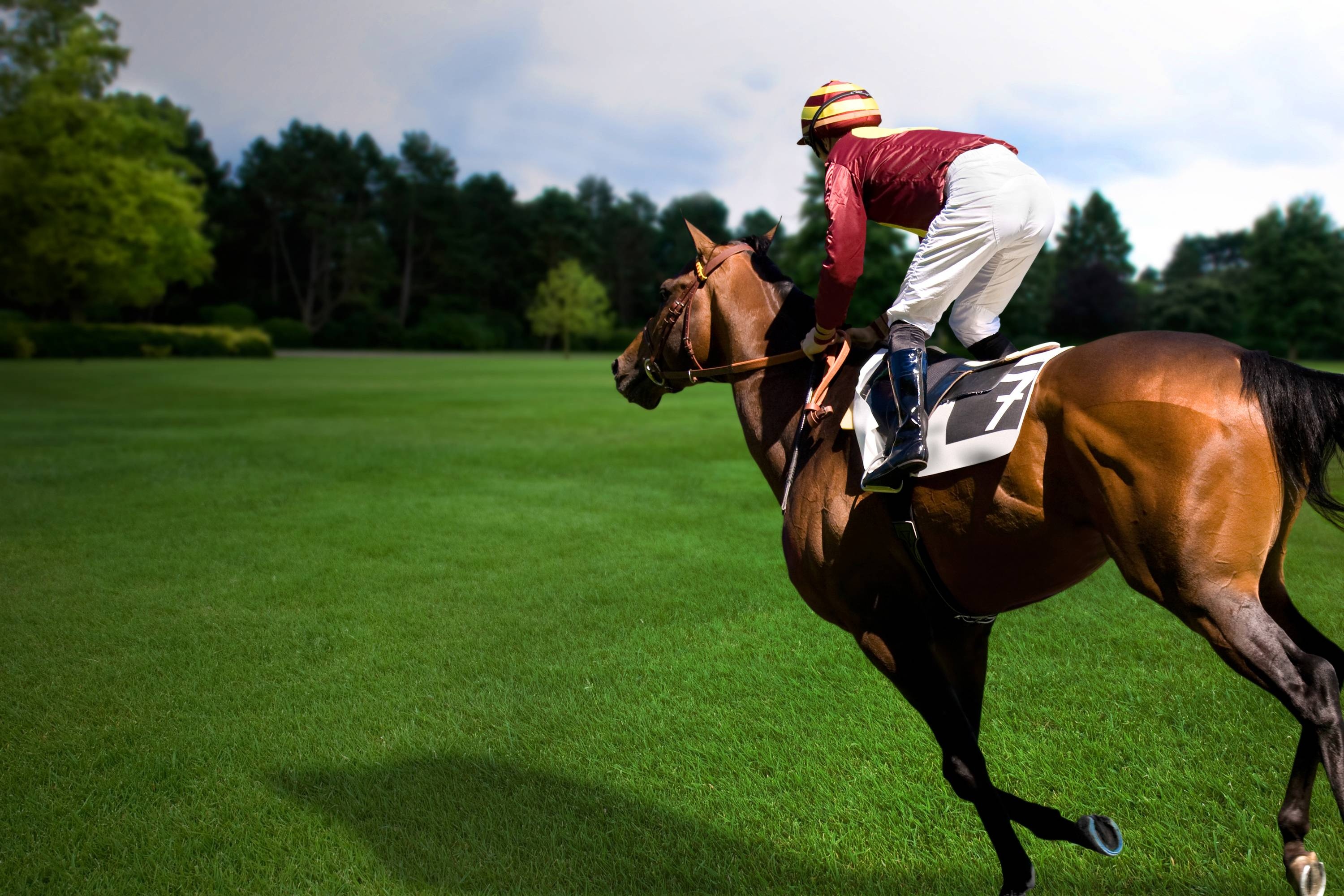 Equestrian sports event, Fast-paced horse race, Equine competition, Exciting action, 3000x2000 HD Desktop