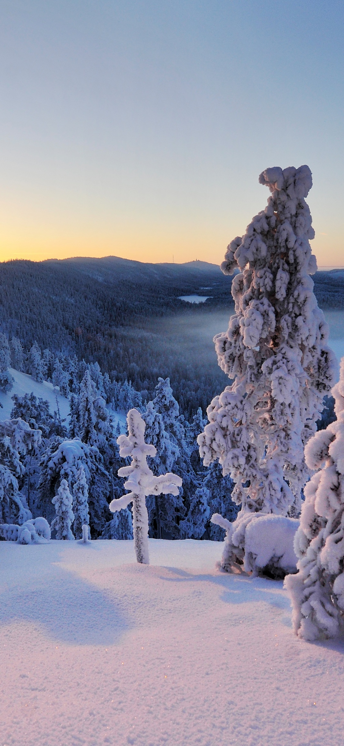 Konttainen fell, Finland Wallpaper, 1130x2440 HD Phone