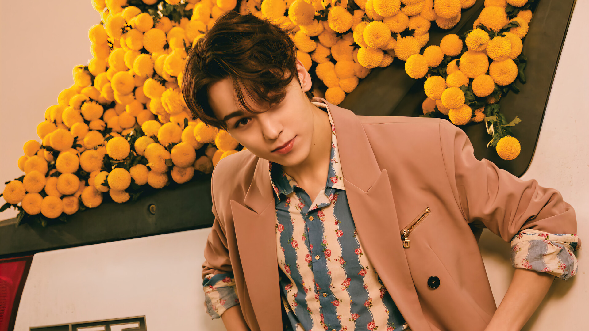 Vernon, Seventeen Wallpaper, 1920x1080 Full HD Desktop