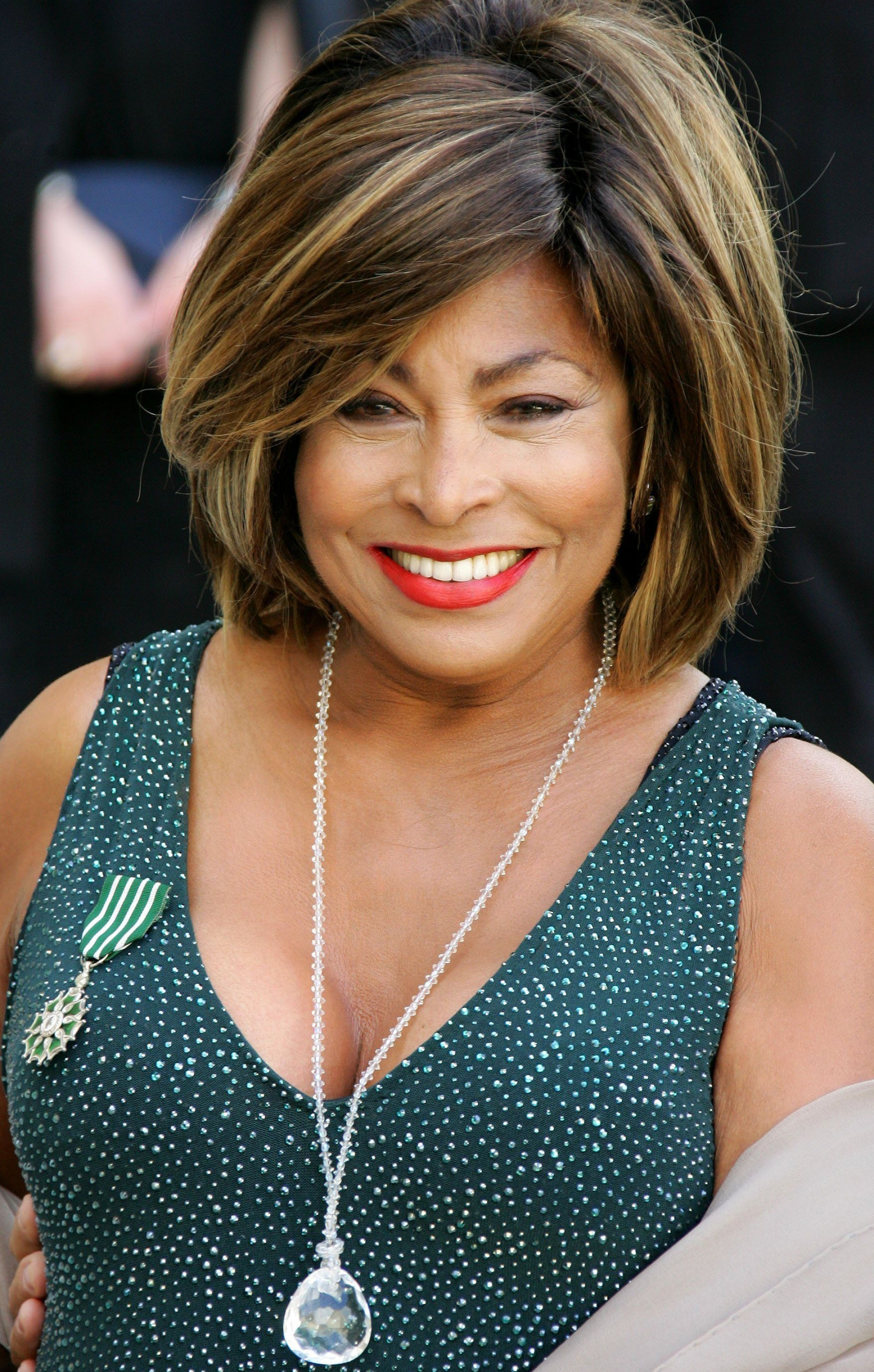 Legion D'Honneur award 2008, Tina Turner Wallpaper, 1950x3060 HD Phone