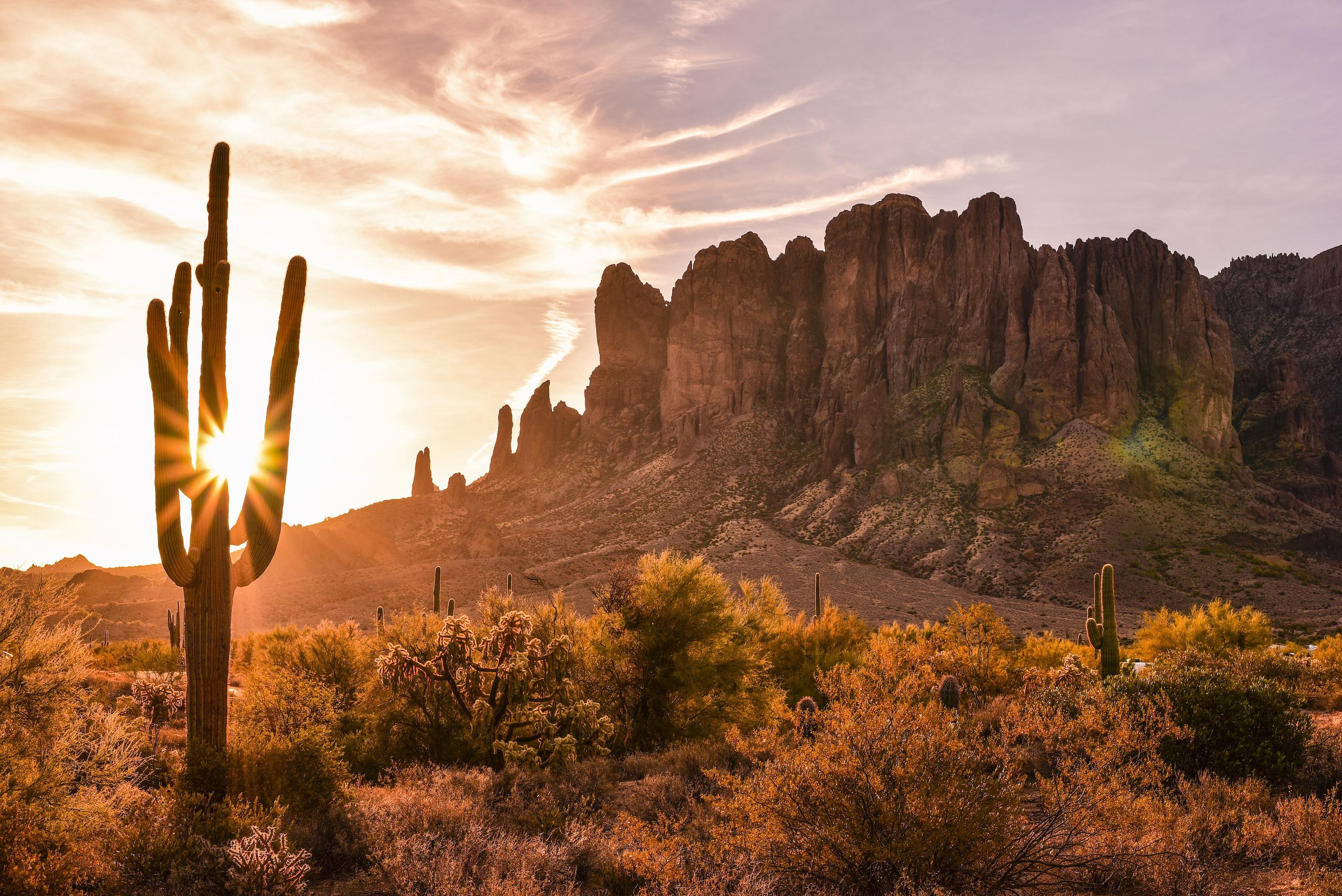 Saguaro National Park, Arizona Wallpaper, 3010x2010 HD Desktop