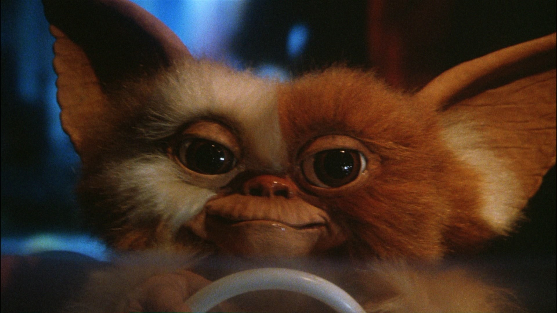 Gizmo gremlins, Adorable creature, Quirky wallpaper, Whimsical character, 1920x1080 Full HD Desktop