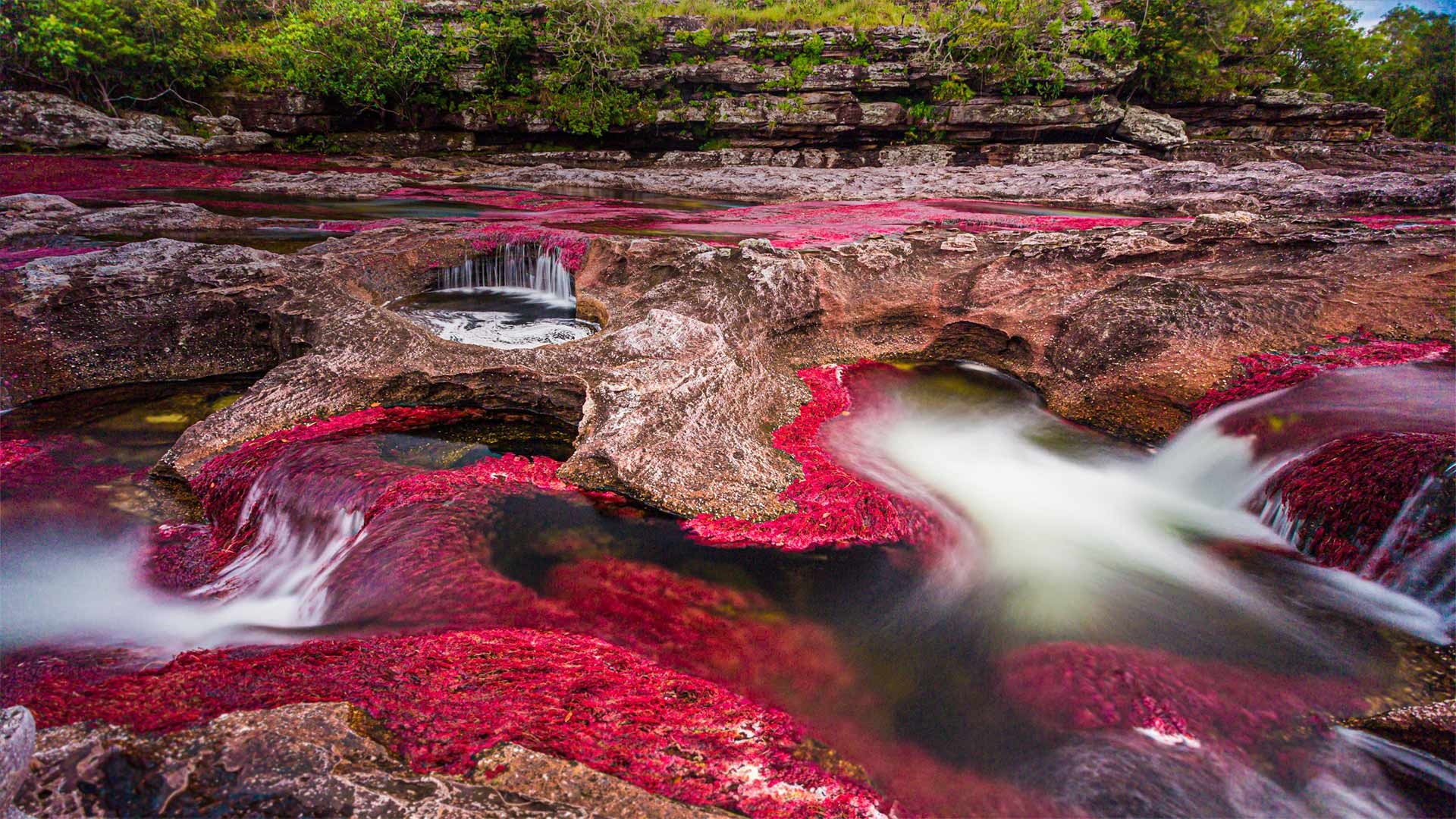 Serrania de la Macarena travels, Der Fluss Cao Cristales, Bing gallery, Bergkette Kolumbien, 1920x1080 Full HD Desktop