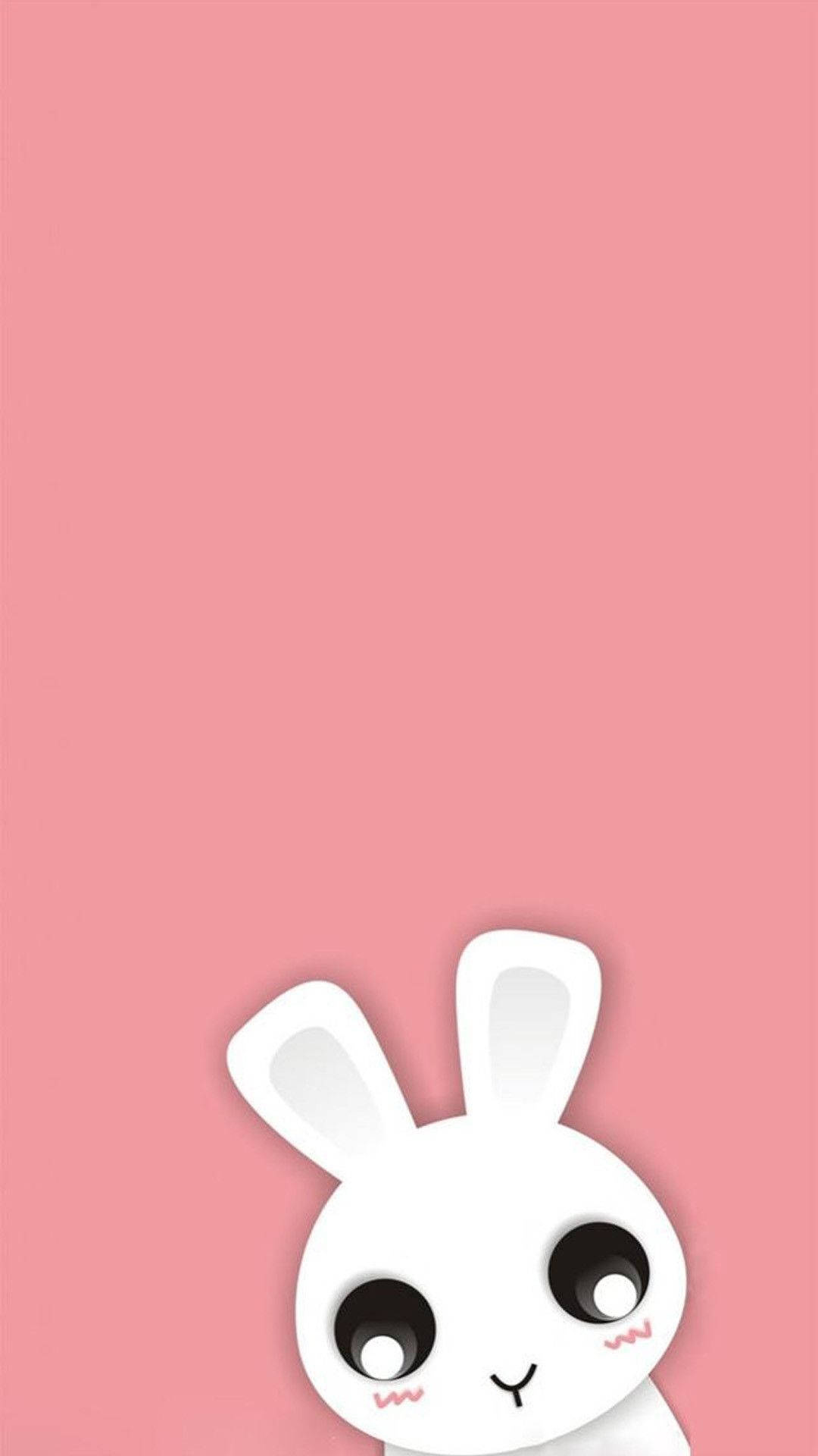 Rabbit, For Lock Screen Wallpaper, 1080x1920 Full HD Phone