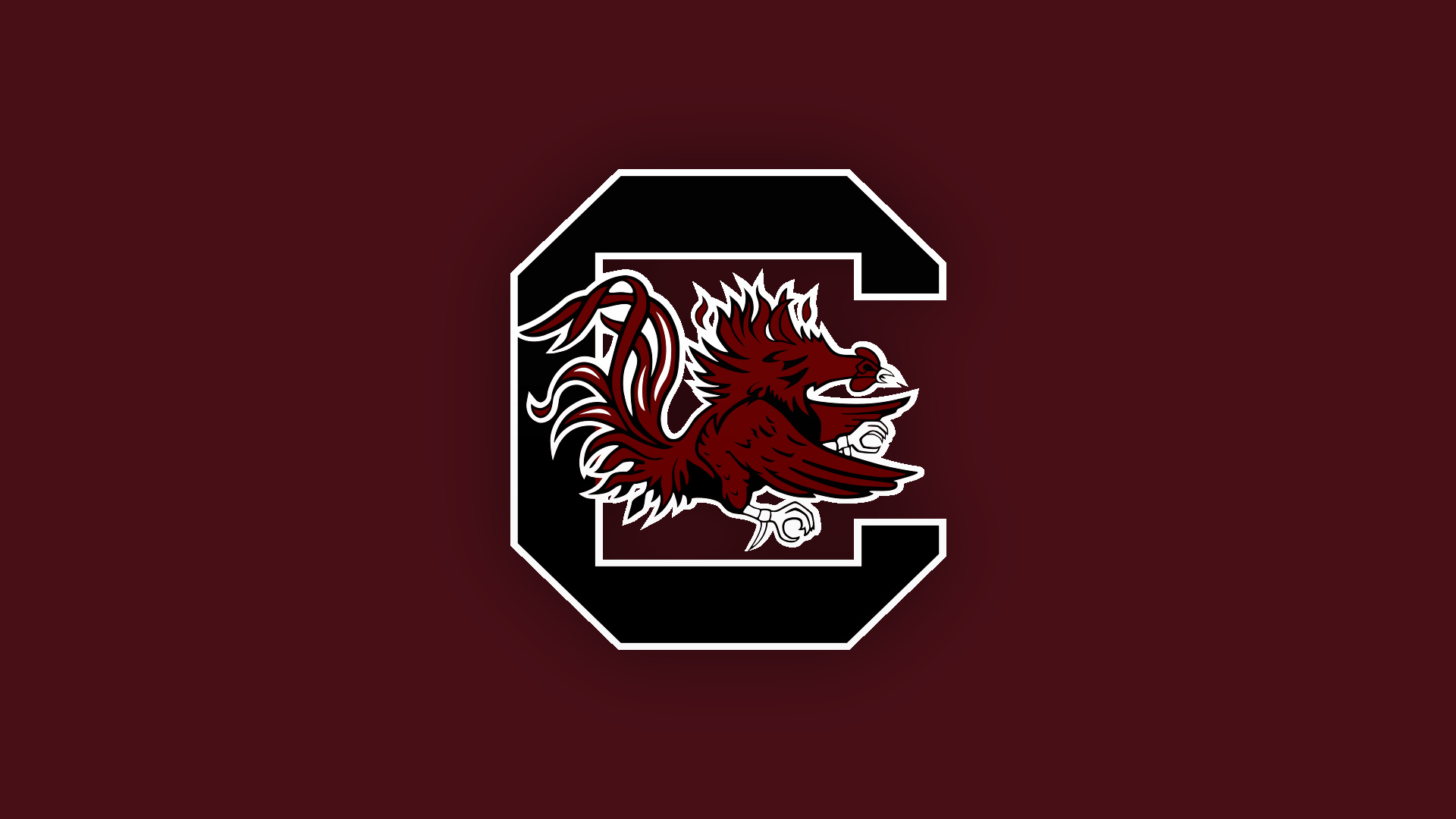 South Carolina Gamecocks, Vibrant wallpapers, Team pride, Backgrounds, 1920x1080 Full HD Desktop