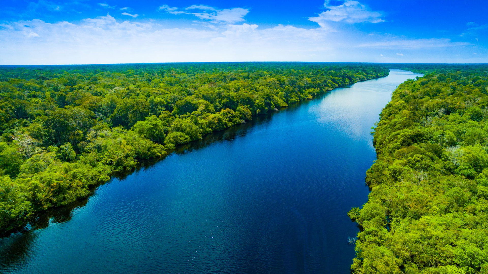 Rain forest archives, Lassomagazin, 1920x1080 Full HD Desktop