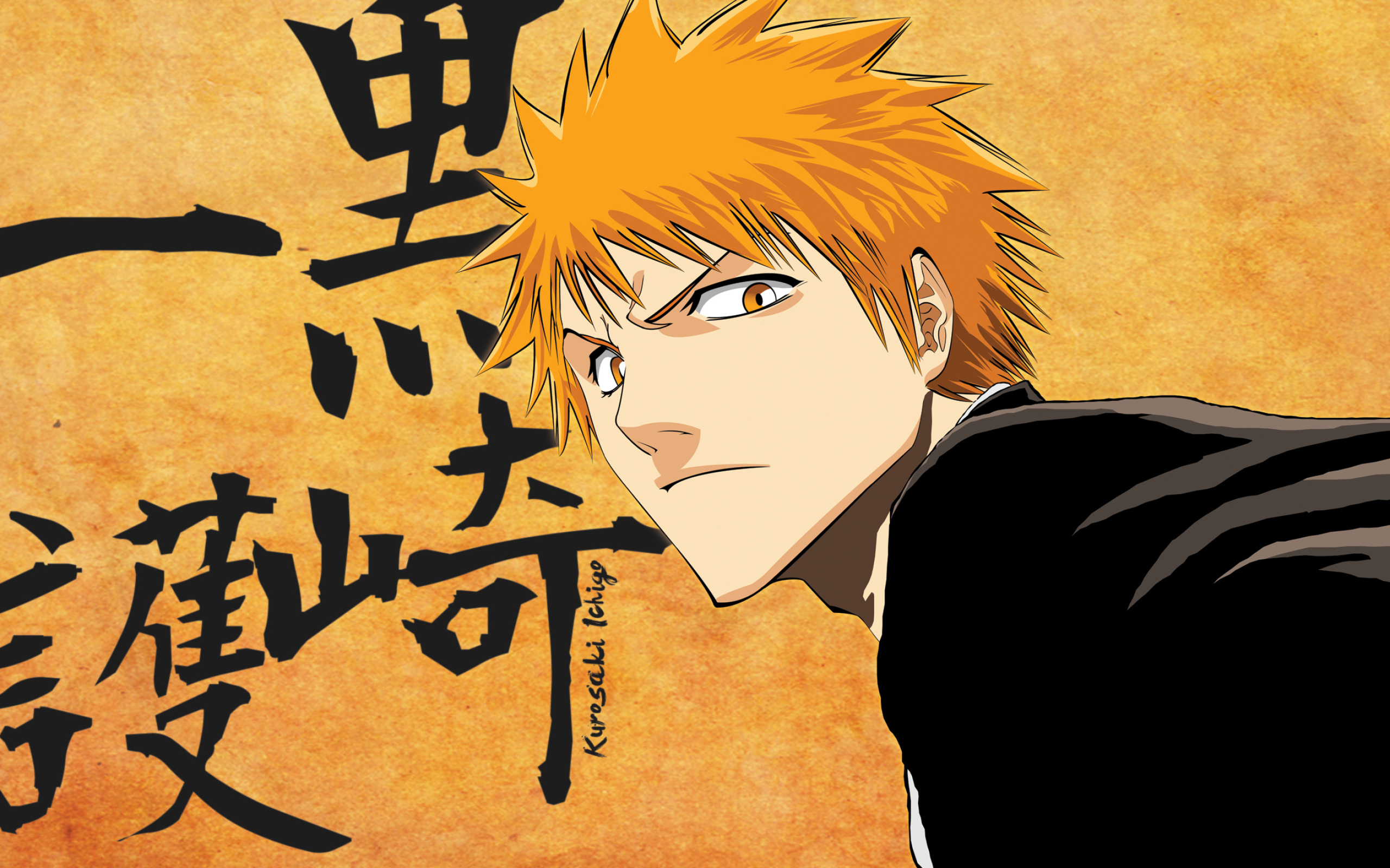 Ichigo Kurosaki, Wallpaper by Kurosaki Ichigo, Great quality, Iconic image, 2560x1600 HD Desktop