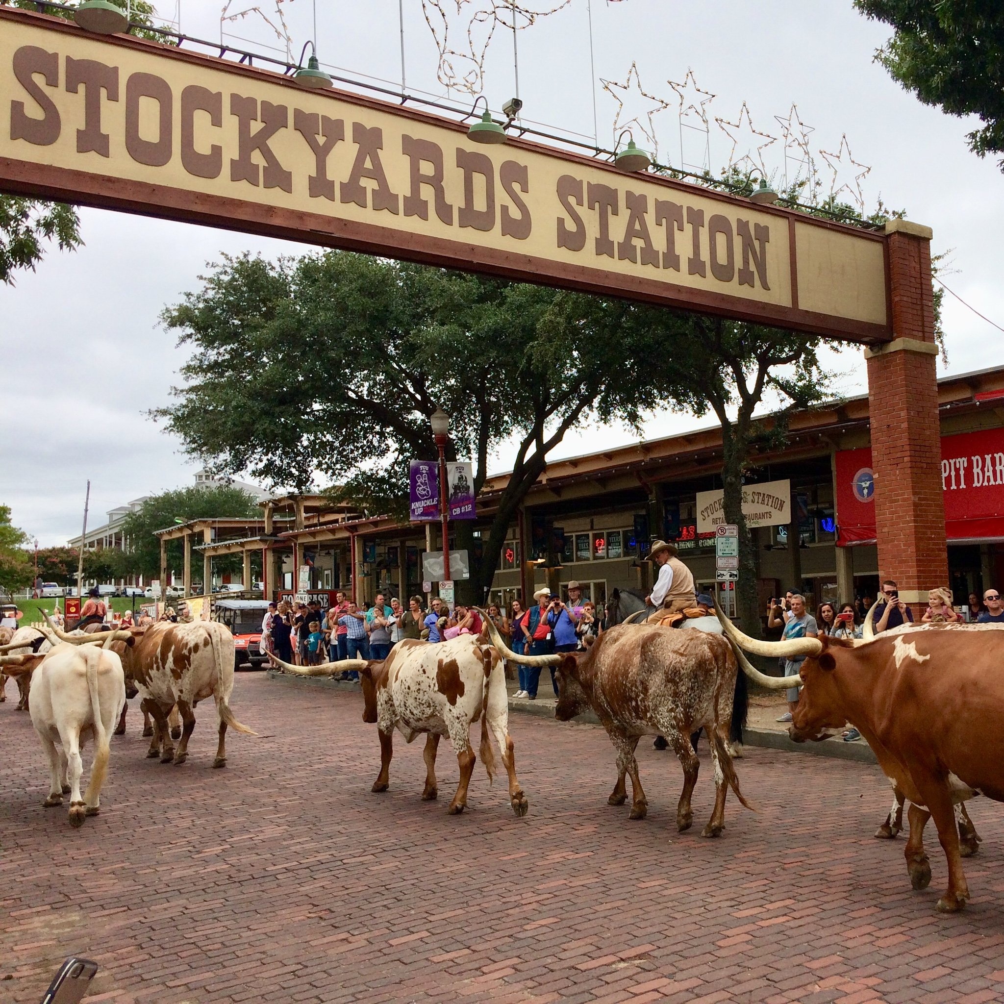 Stockyards Station, Fort Worth Wallpaper, 2050x2050 HD Phone