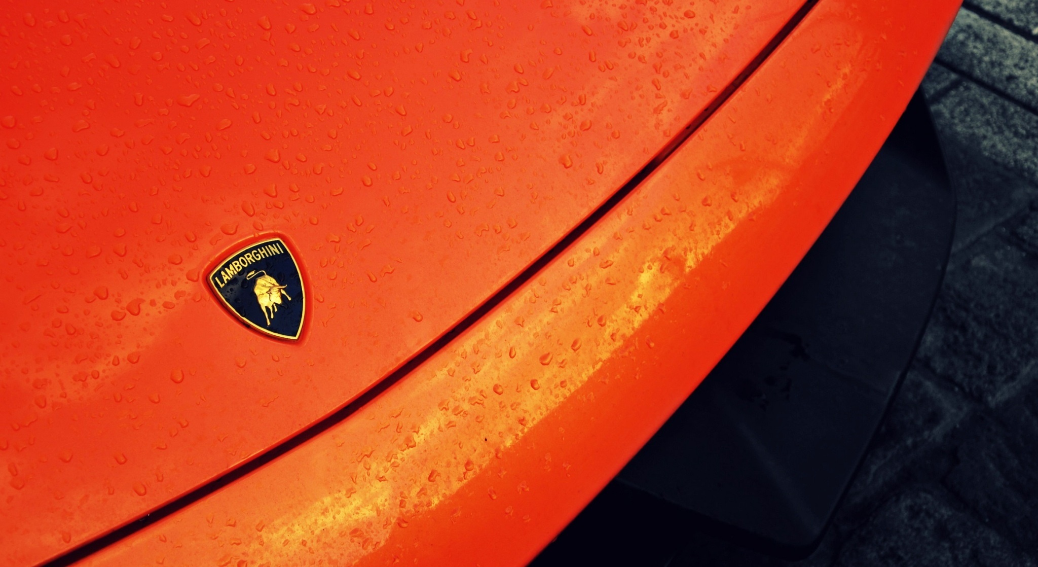 Gallardo, Lamborghini Logo Wallpaper, 2050x1120 HD Desktop