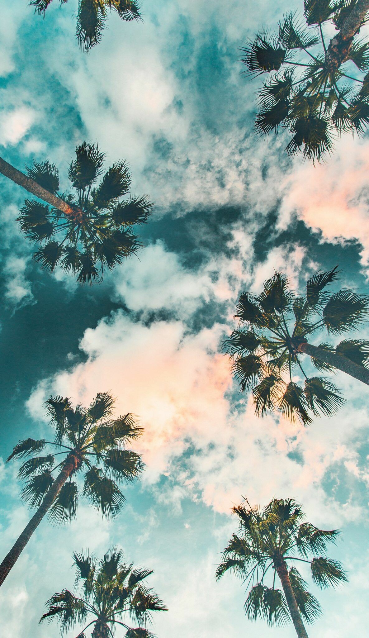 Palm Tree, Scenery wallpaper, Sky aesthetic, Watercolor wallpaper, 1190x2050 HD Phone