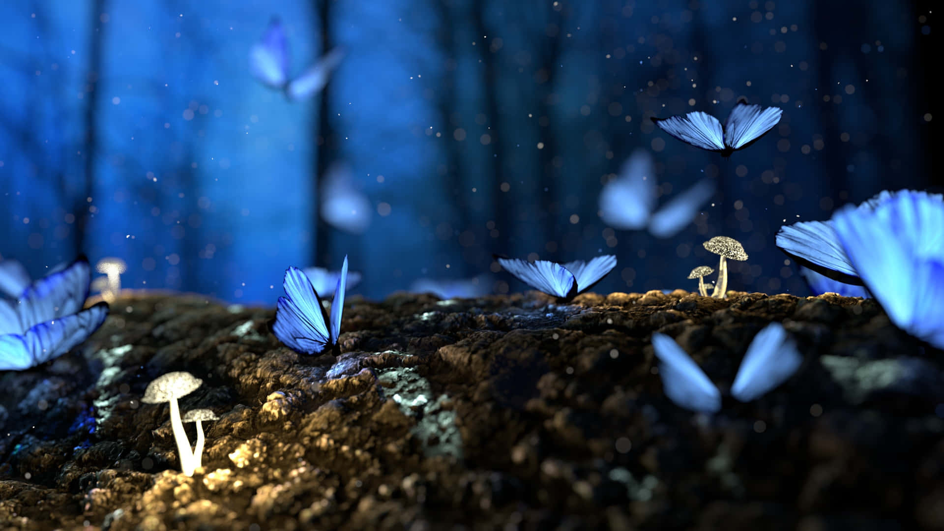 Butterflies, Beautiful Backgrounds Wallpaper, 1920x1080 Full HD Desktop