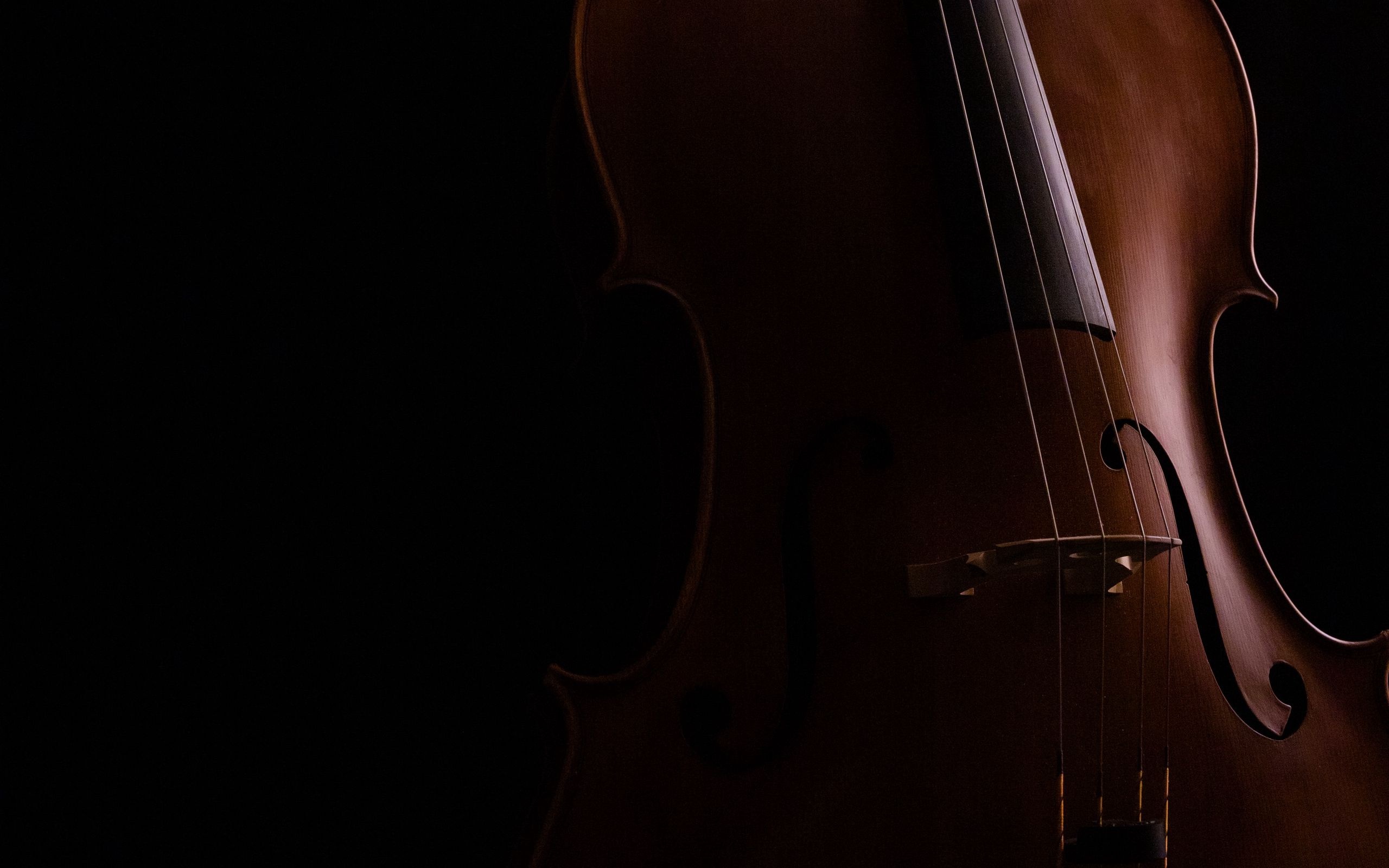 Violoncello melody, Classic instrument, Musical depth, Expressive strings, 2560x1600 HD Desktop