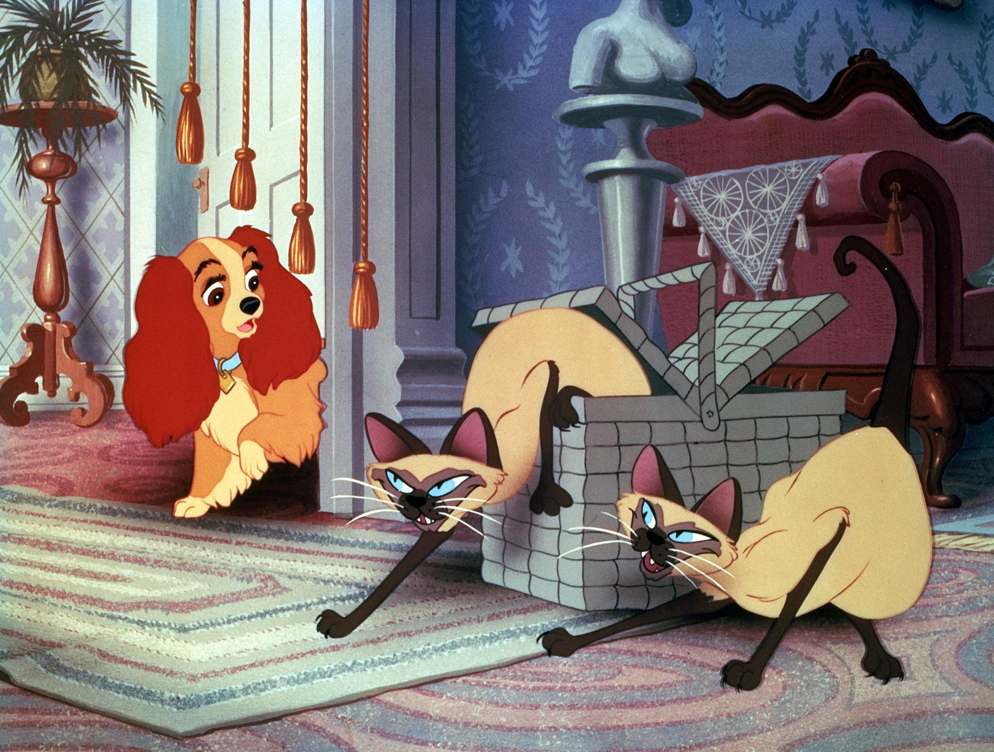 Am, Xi, and Lady, Lady and the Tramp Wallpaper, 2050x1550 HD Desktop