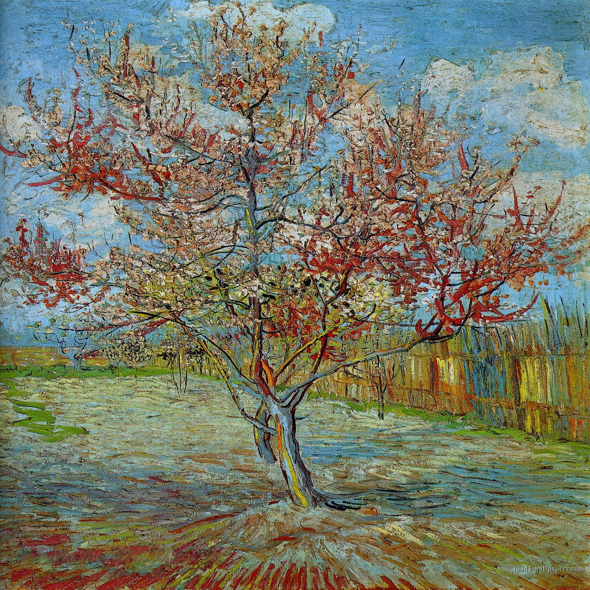 Pink Peach Tree in Blossom, Vincent van Gogh Wallpaper, 2050x2050 HD Phone