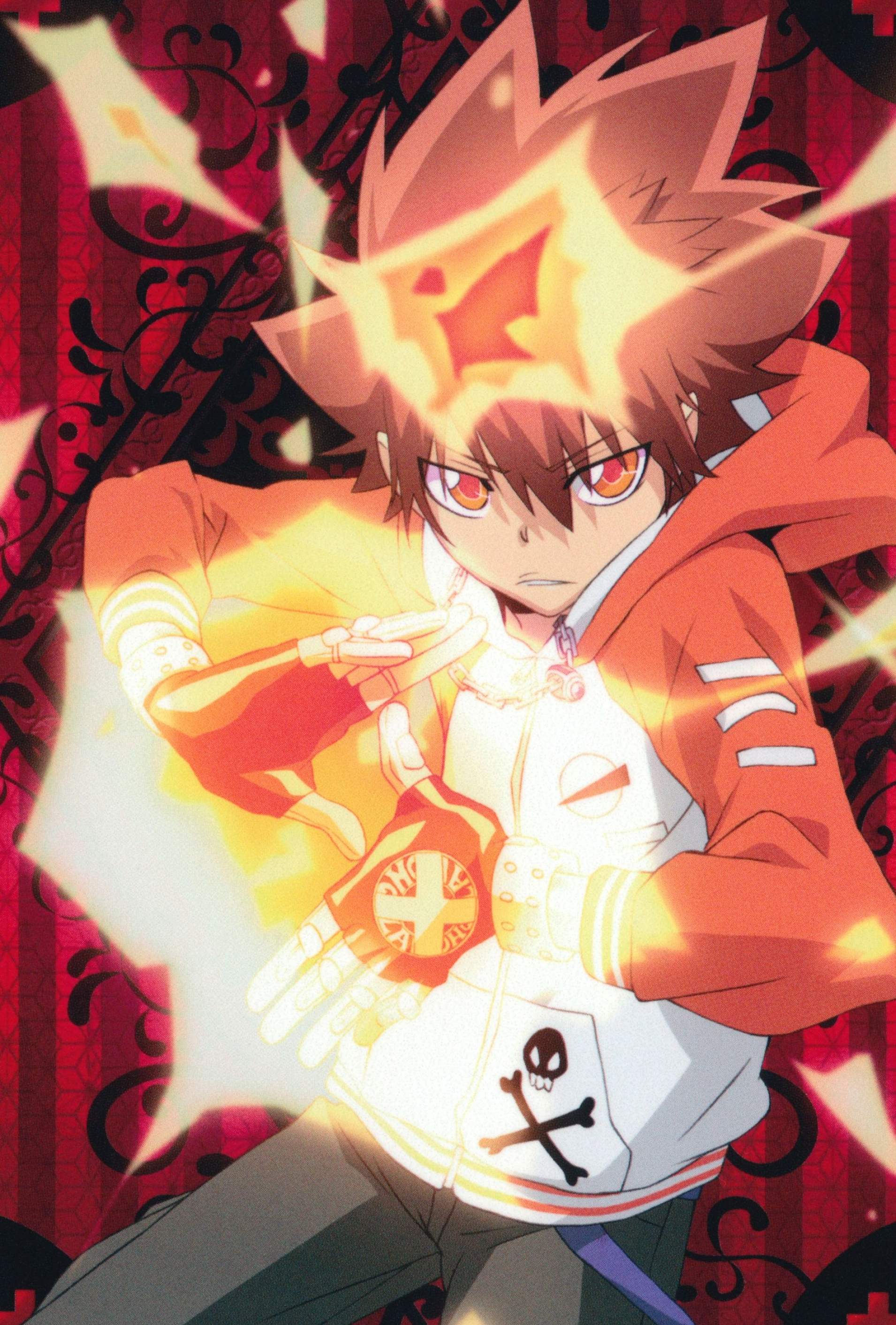 Sawada Tsunayoshi, Katekyo Hitman Reborn mobile wallpaper, Anime image board, Hitman Reborn, 1910x2830 HD Phone